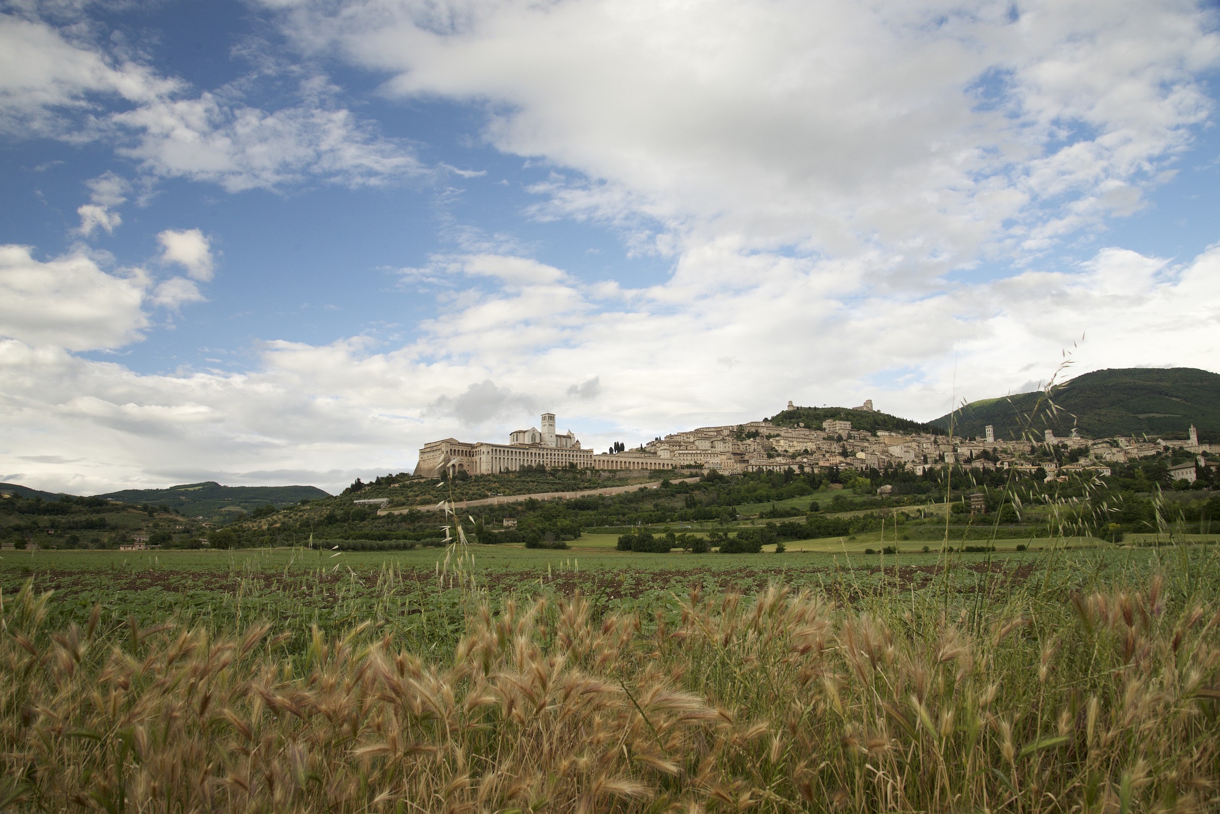 assisi