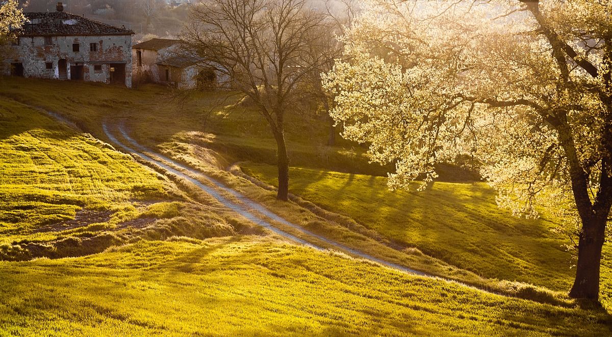 The narrow road of the old cottage