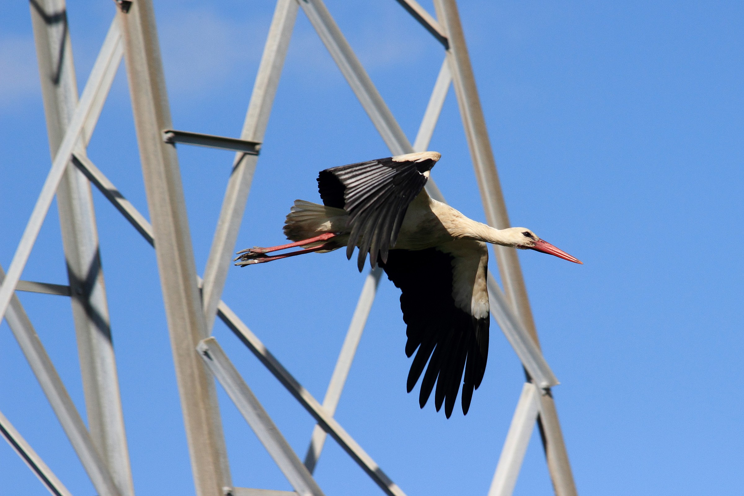 Flights between the pylons