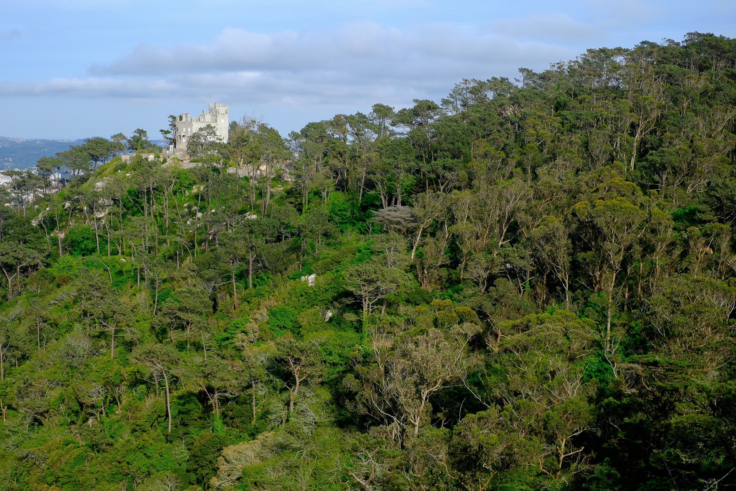 Castle at Sintra
