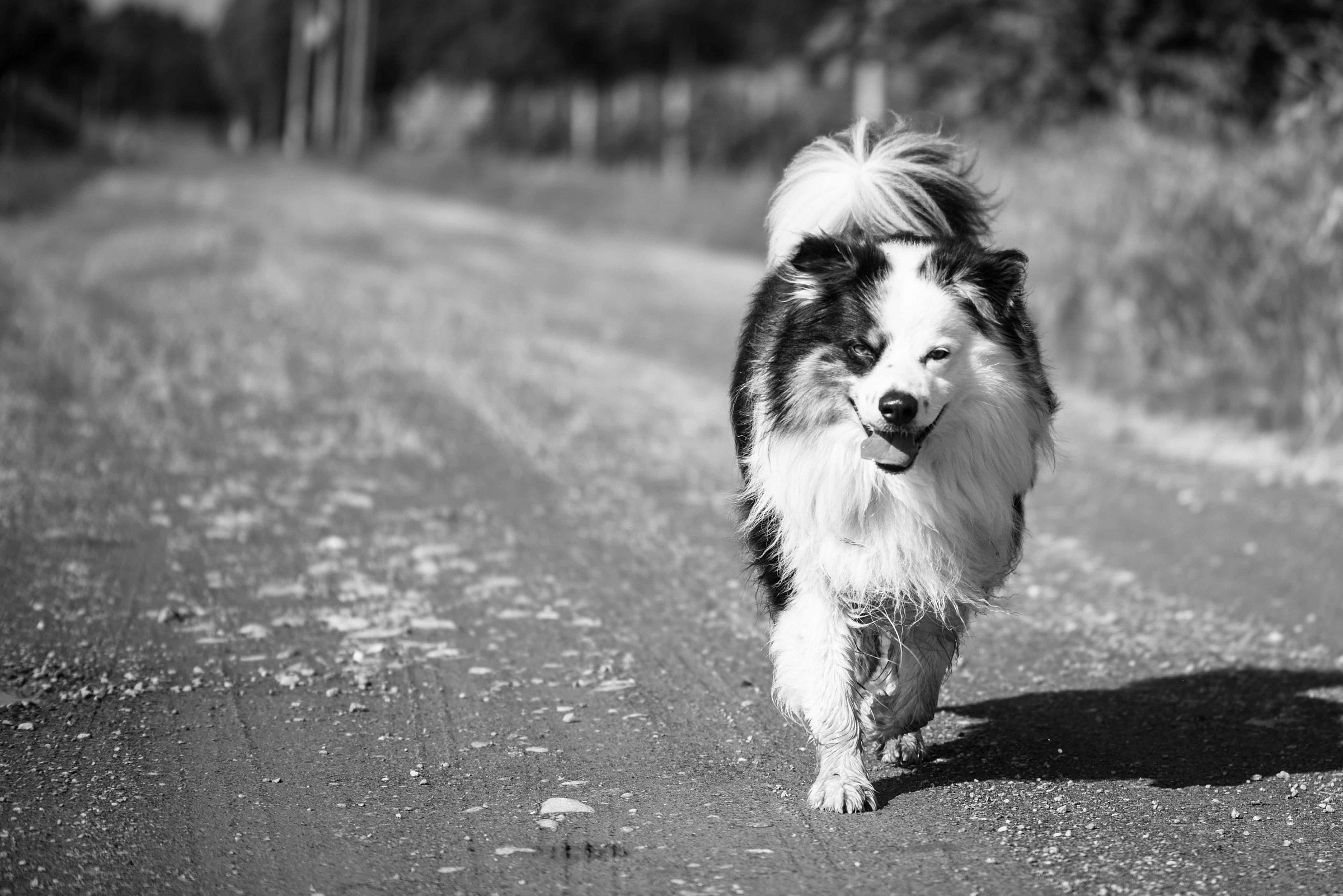 Walking in freedom '