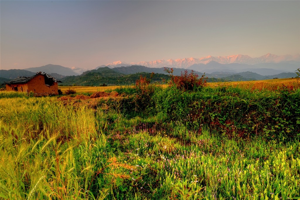 Fading Light on Dhauladhars