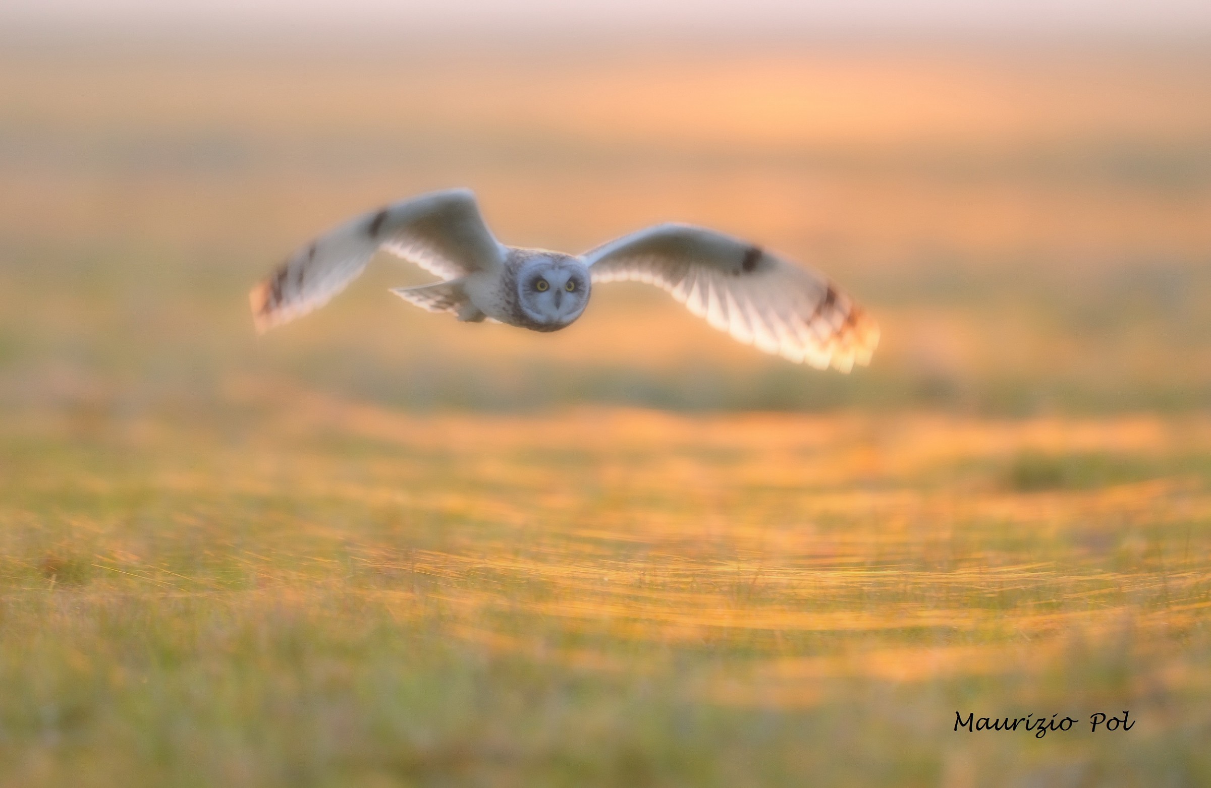 apparizione nella foschia al tramonto