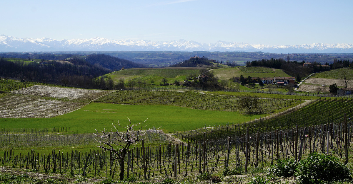Pink flowers, peach flowers ...