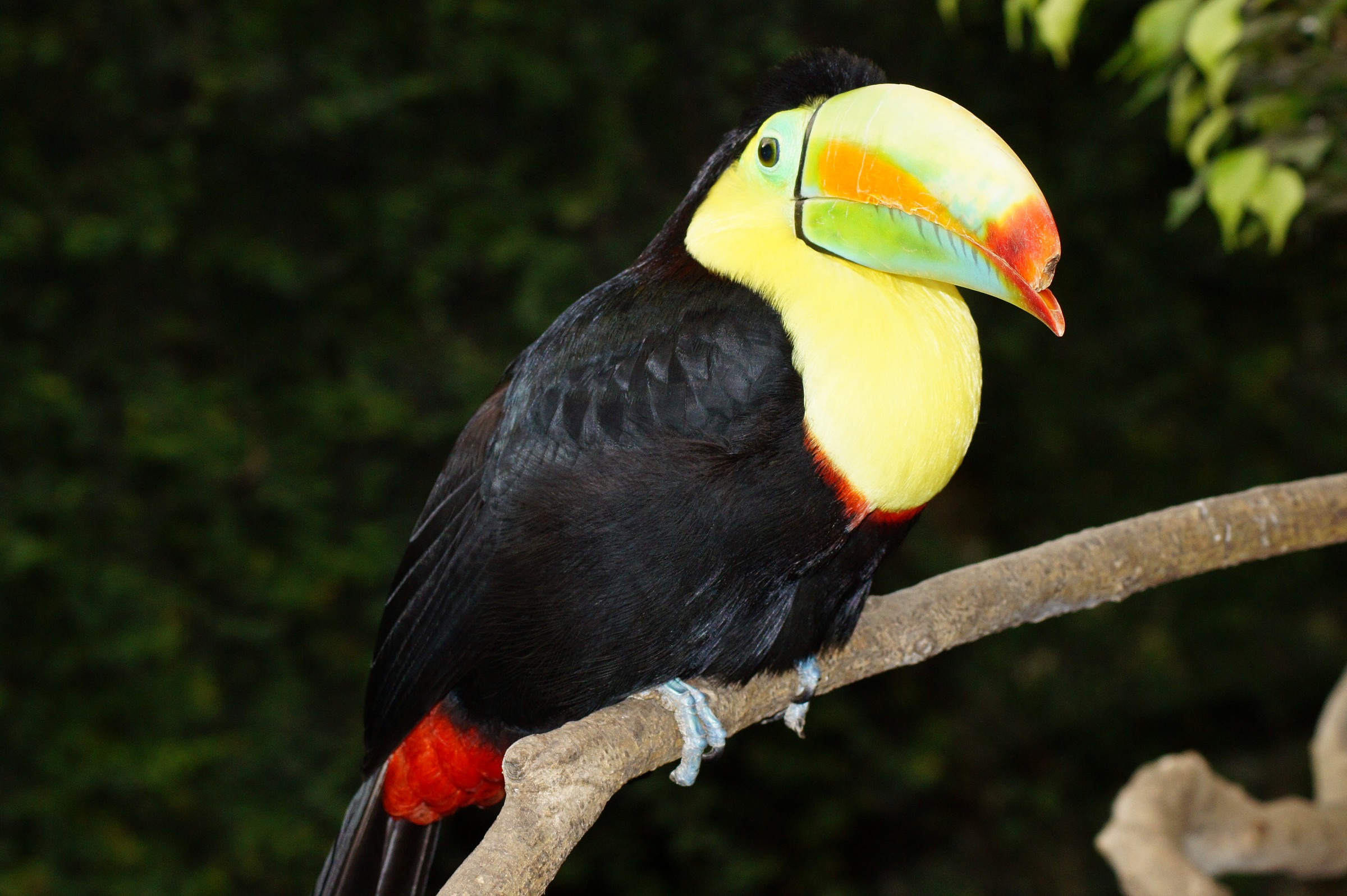 I hope they grow back!