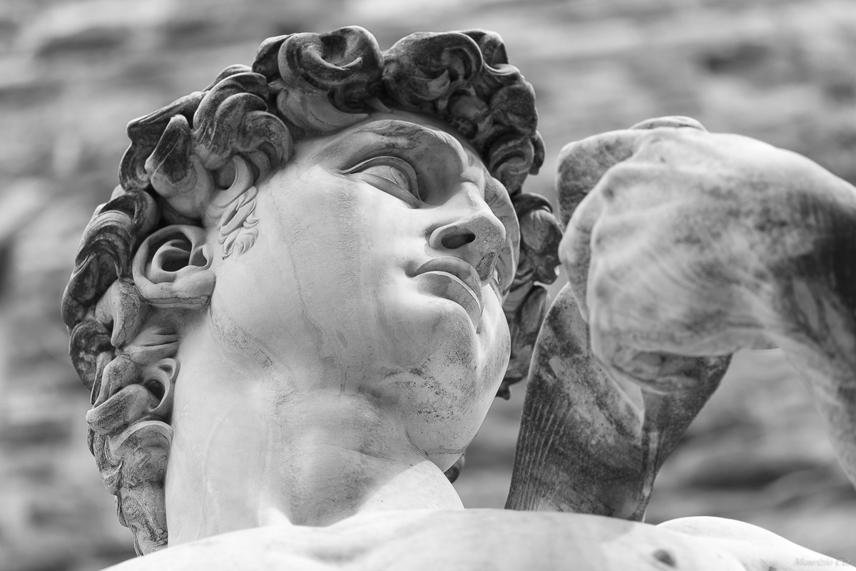 Piazza della Signoria - David di Michelangelo