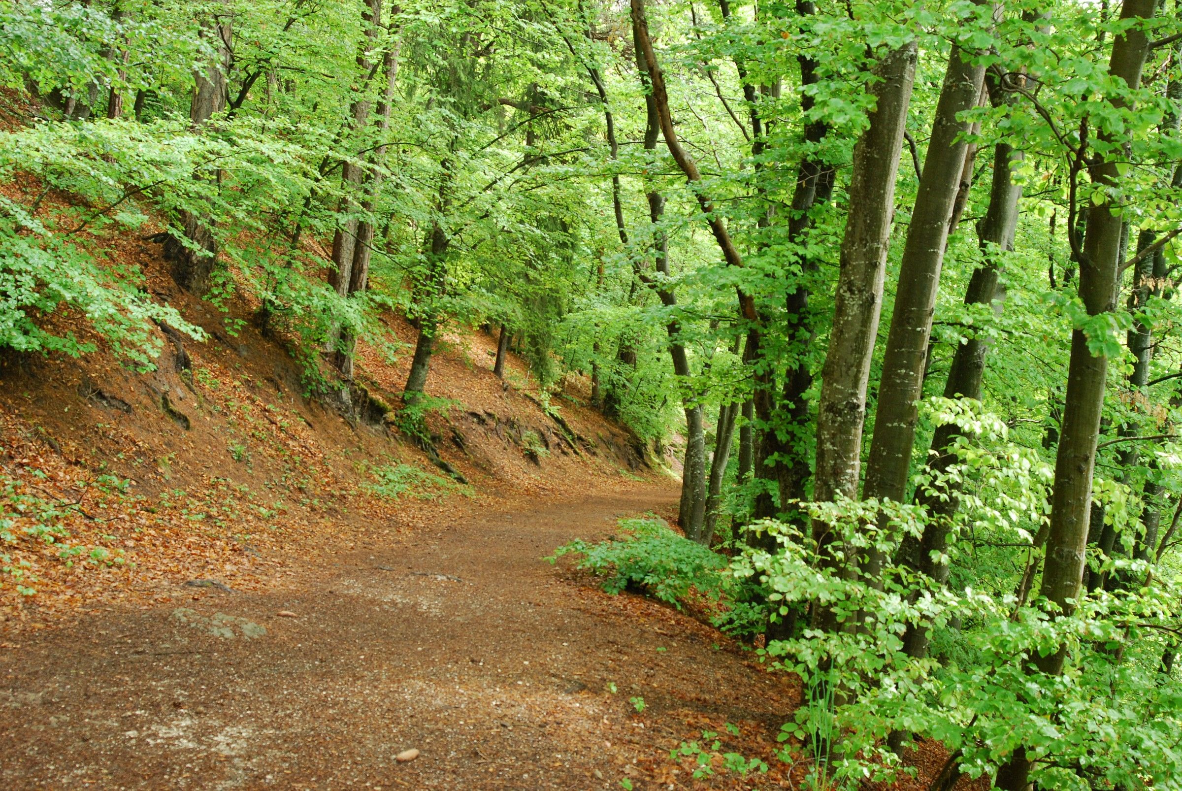 Passeggiata al Renon