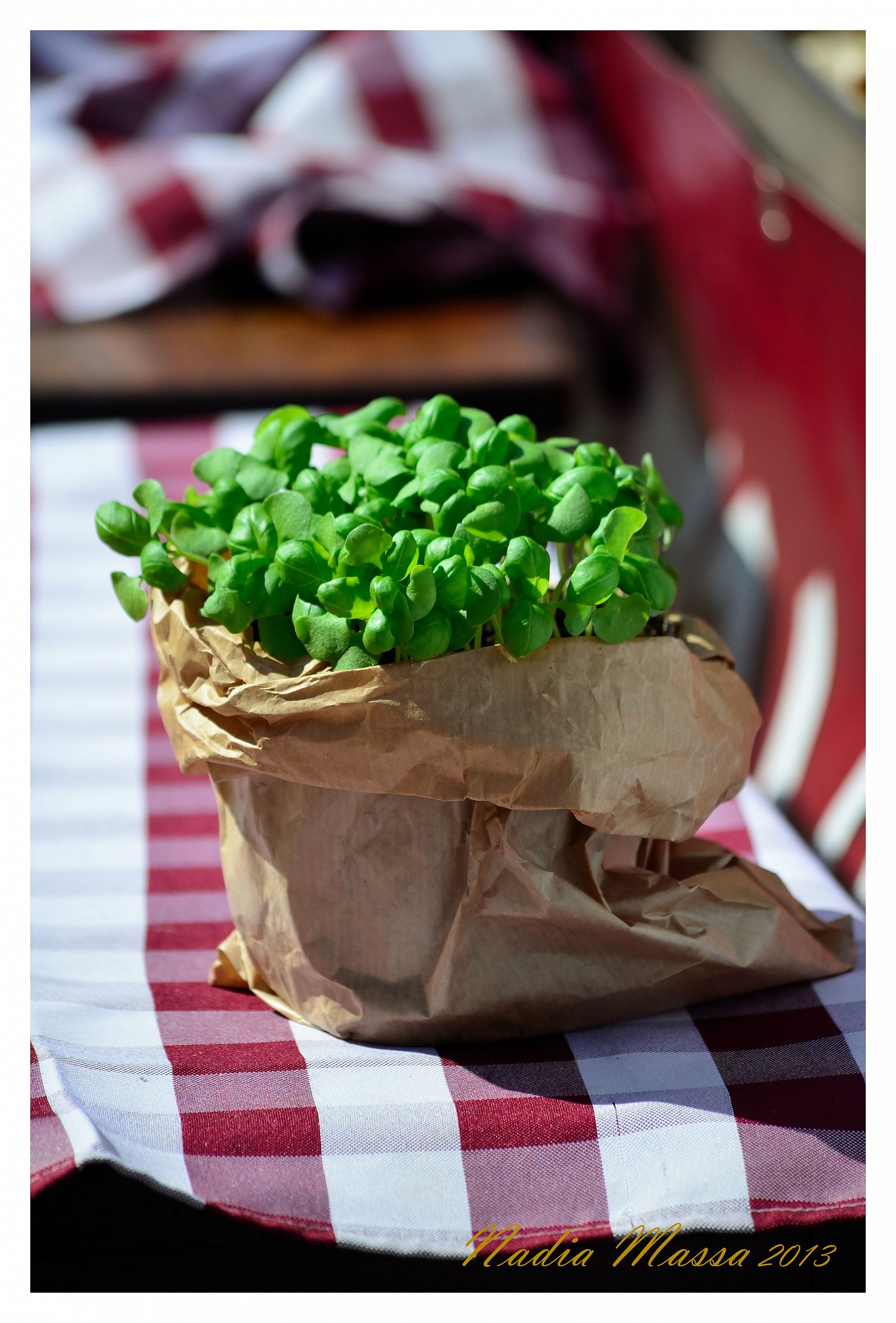 Sua maestà il basilico!!