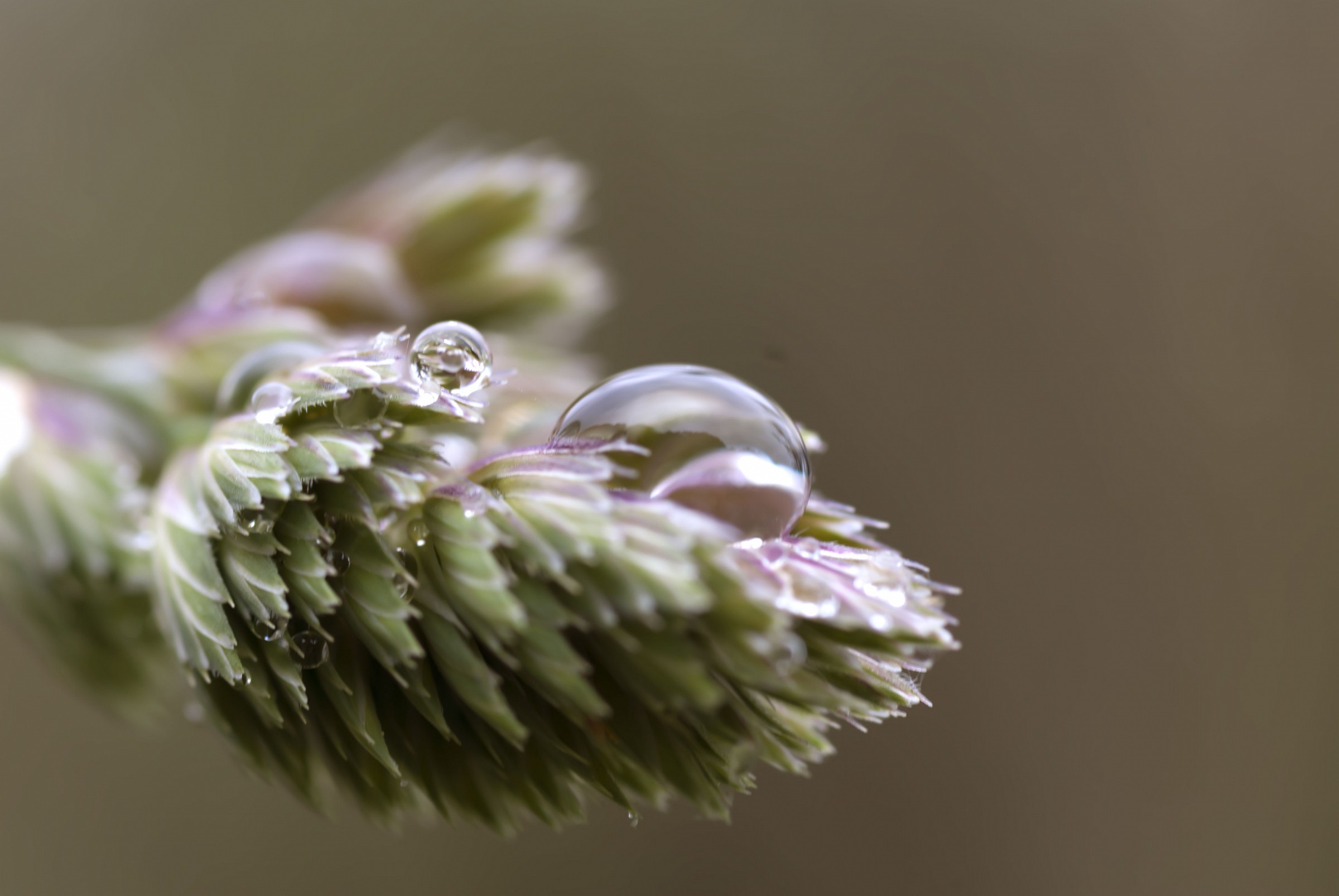 Come due gocce d'acqua