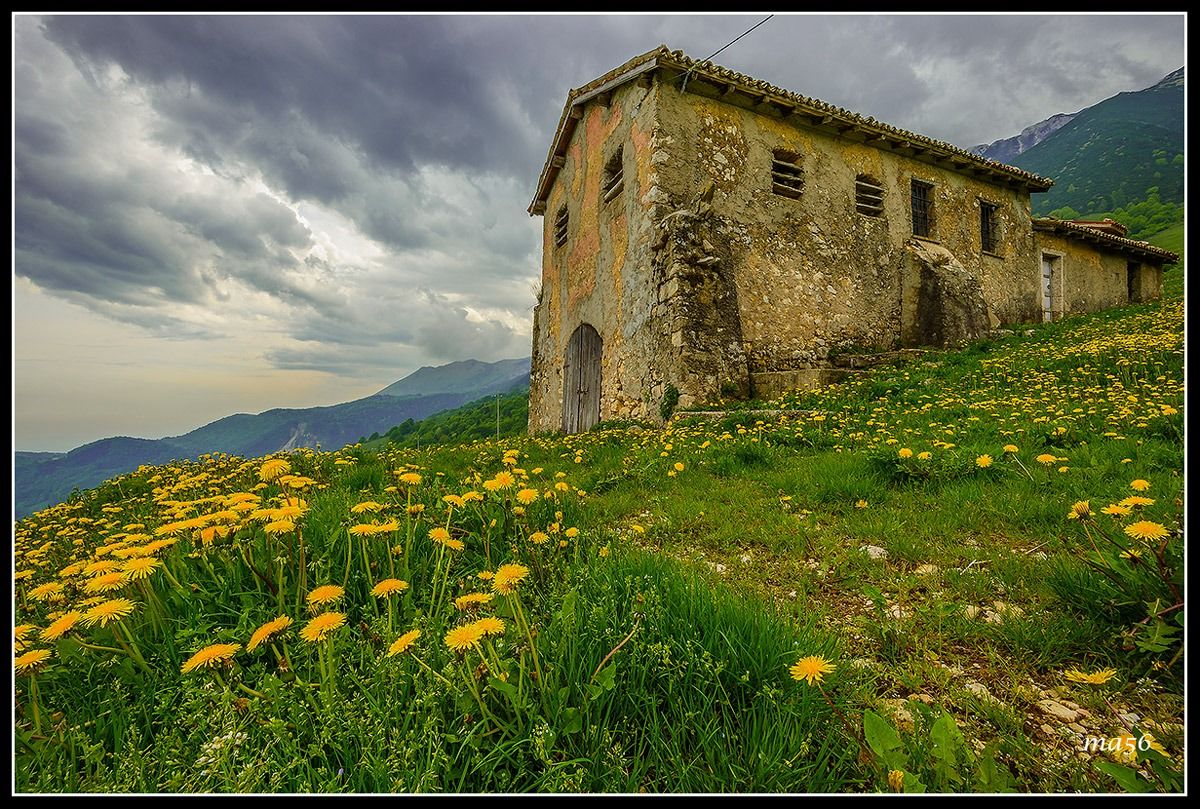 Malga loc. Novezzina