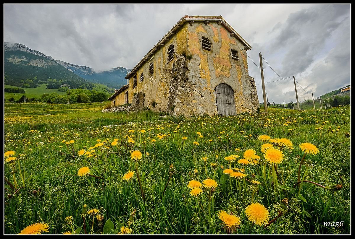 Malga loc. Novezzina