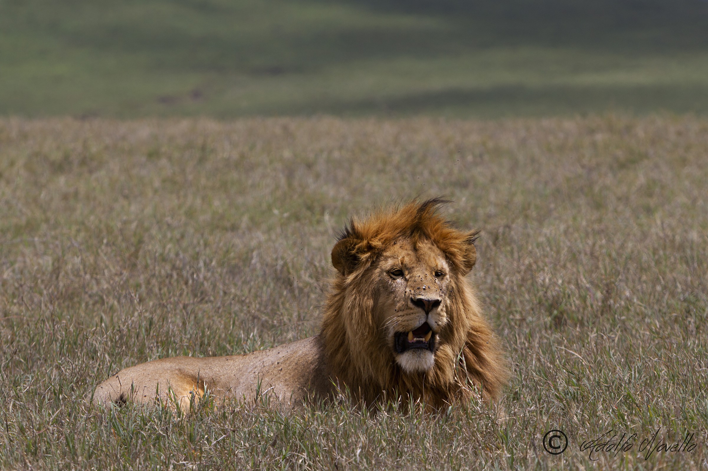 Riposo dopo la passione