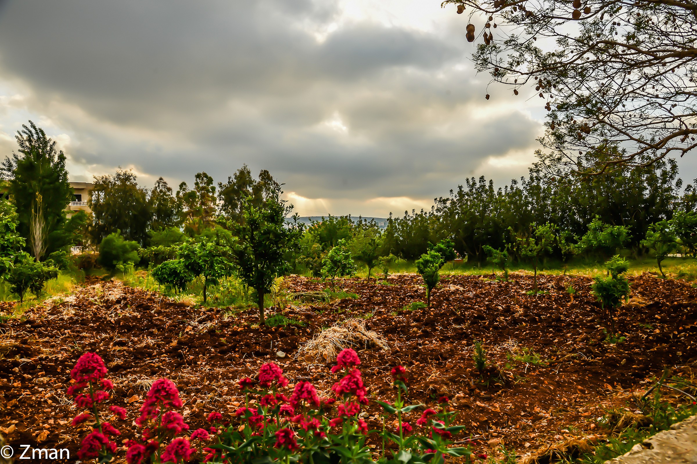 Freshly Ploughed Field