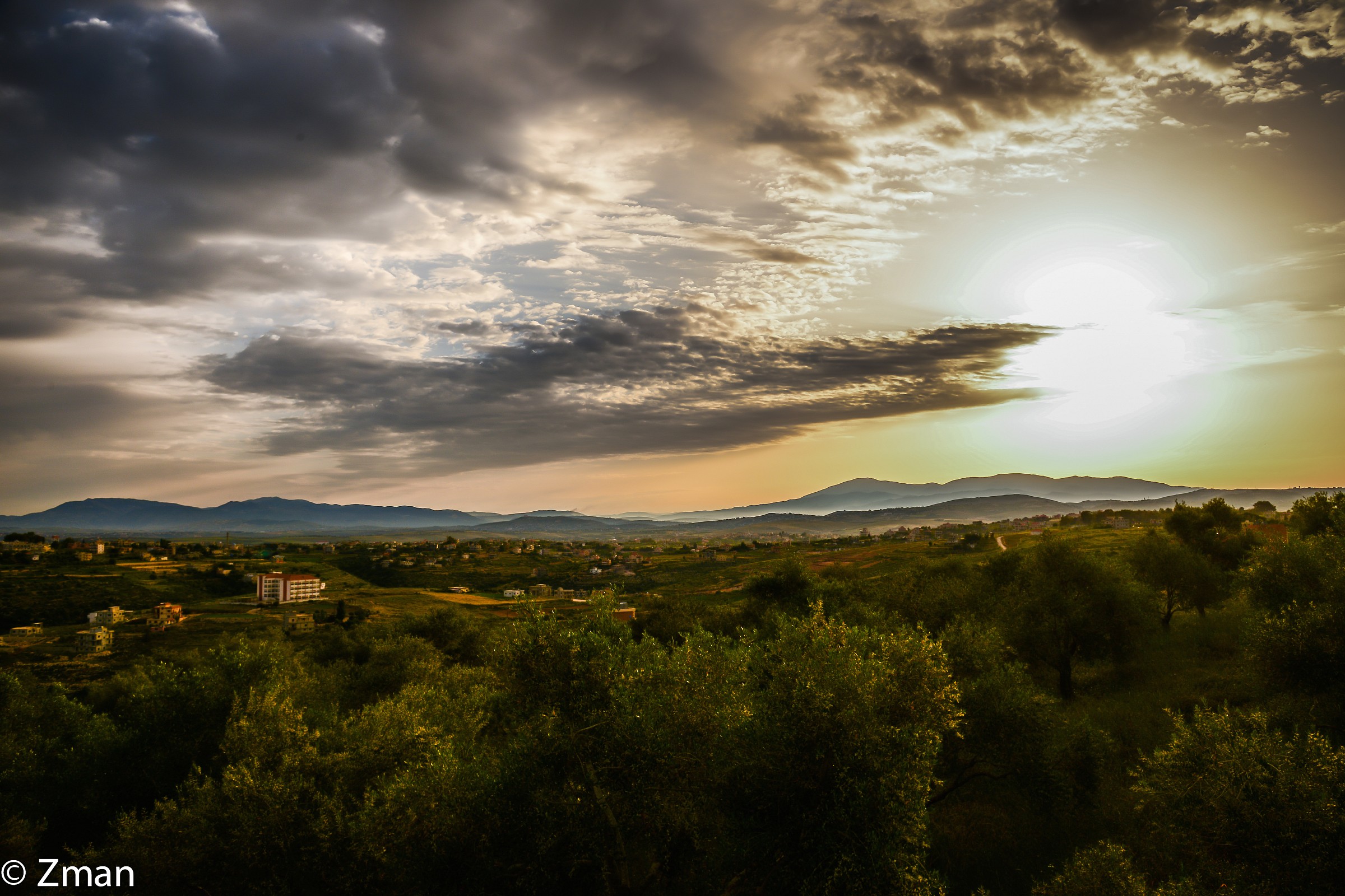 Sunrise and Olive Field