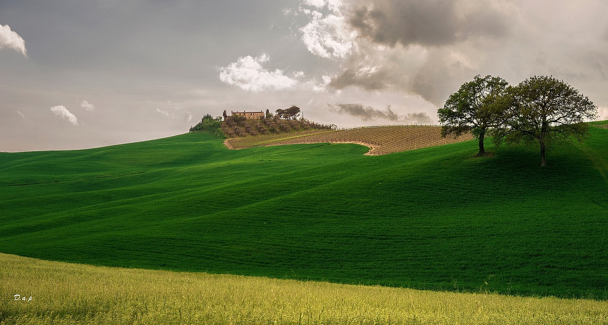 Colors of the Val d 'Orcia III