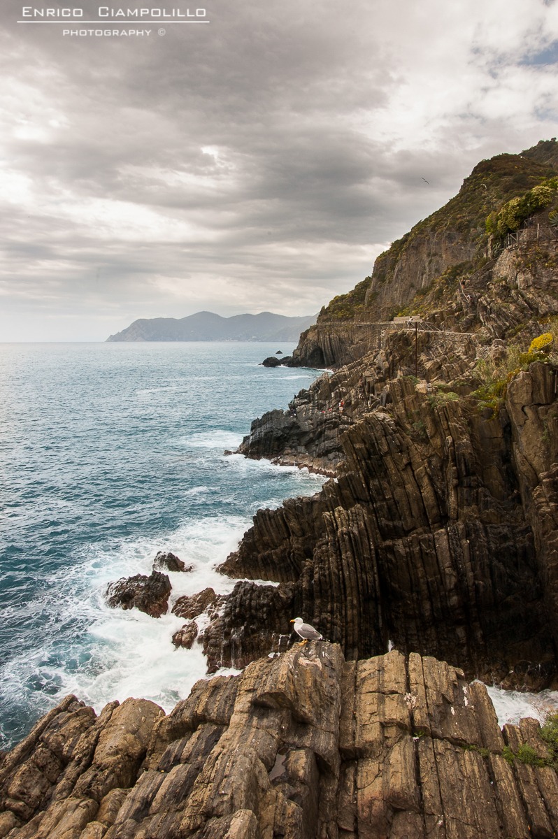 Scogliera a Riomaggiore