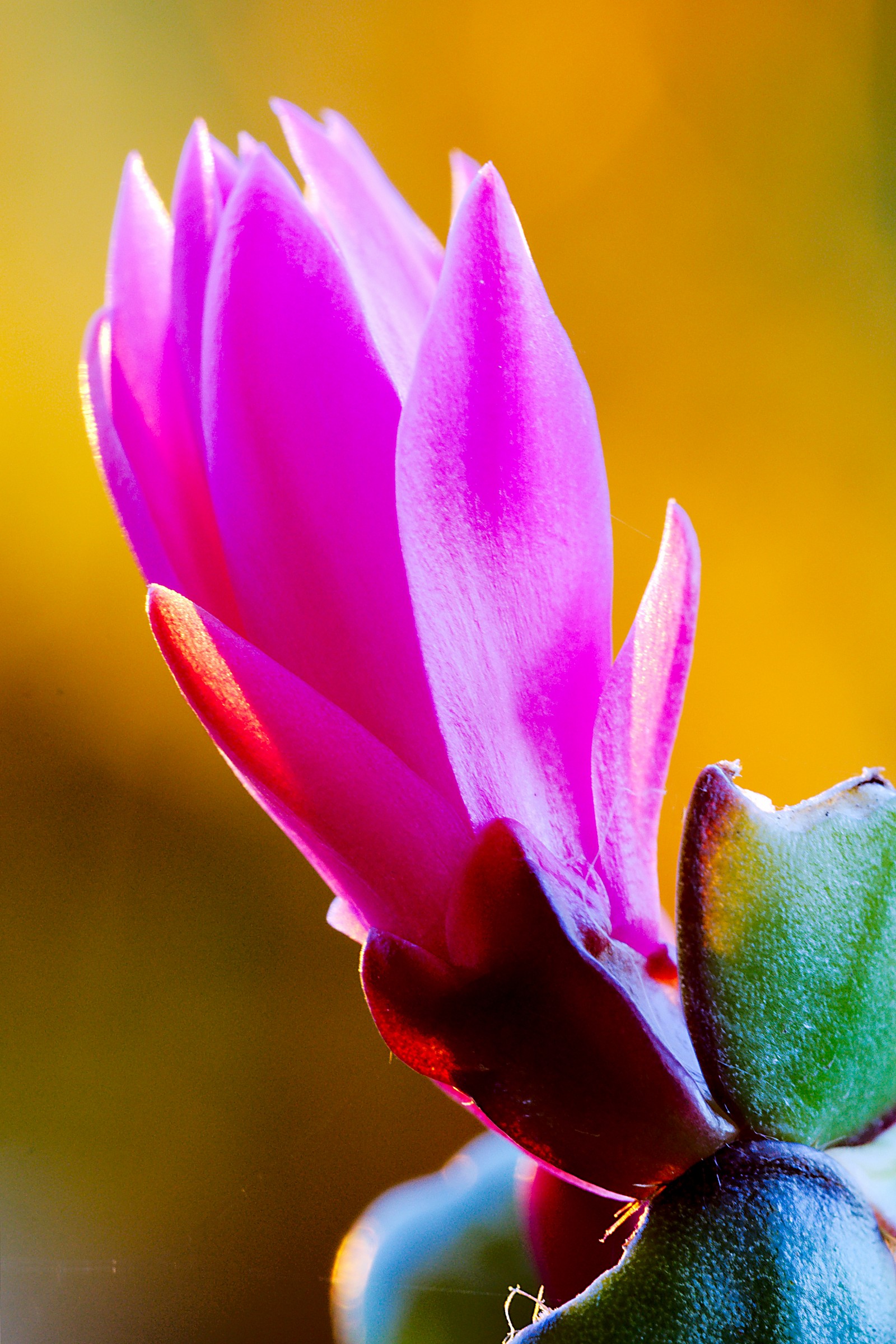 and 'time to sleep ....