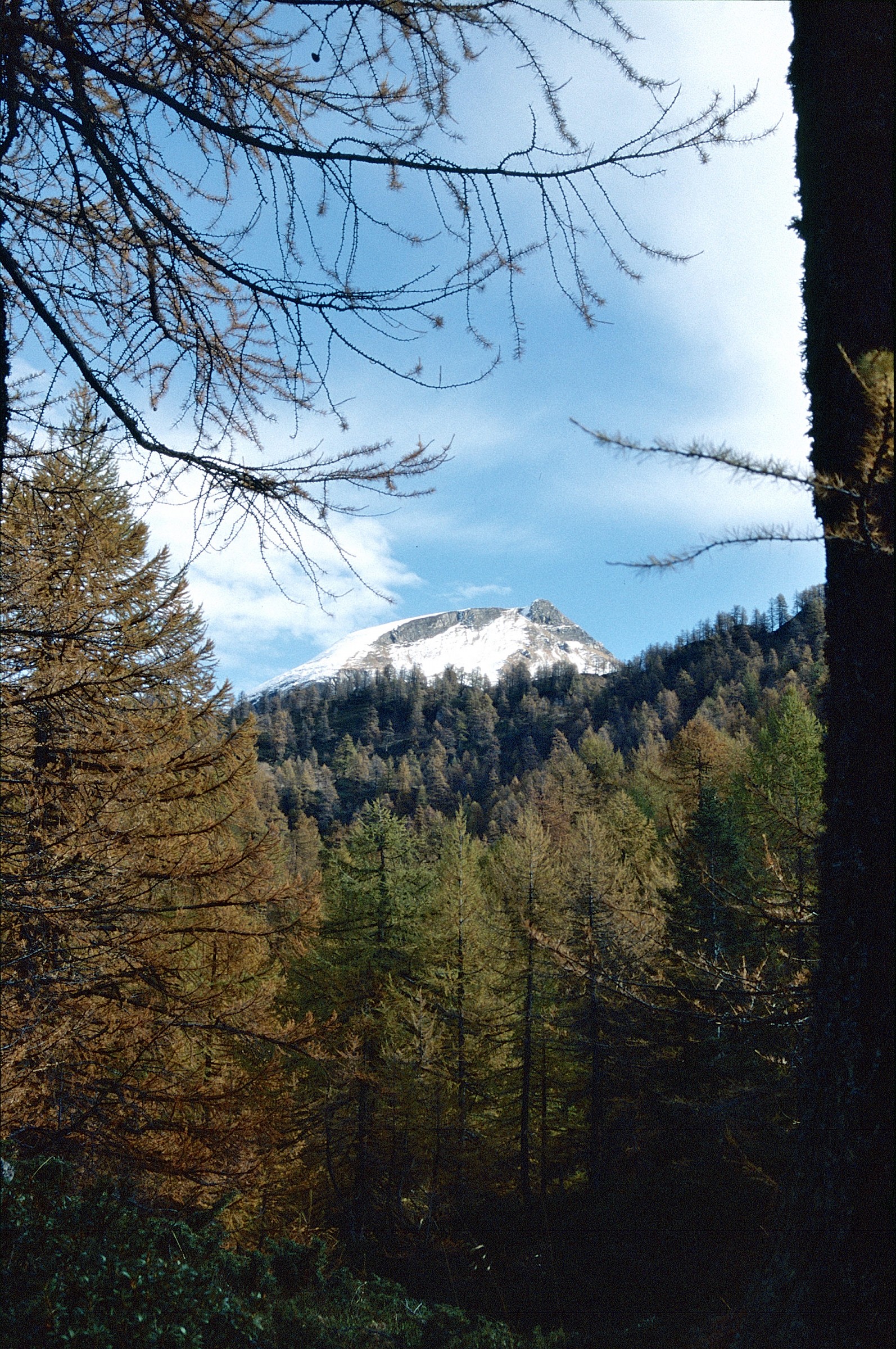 Devero trail Crampiolo