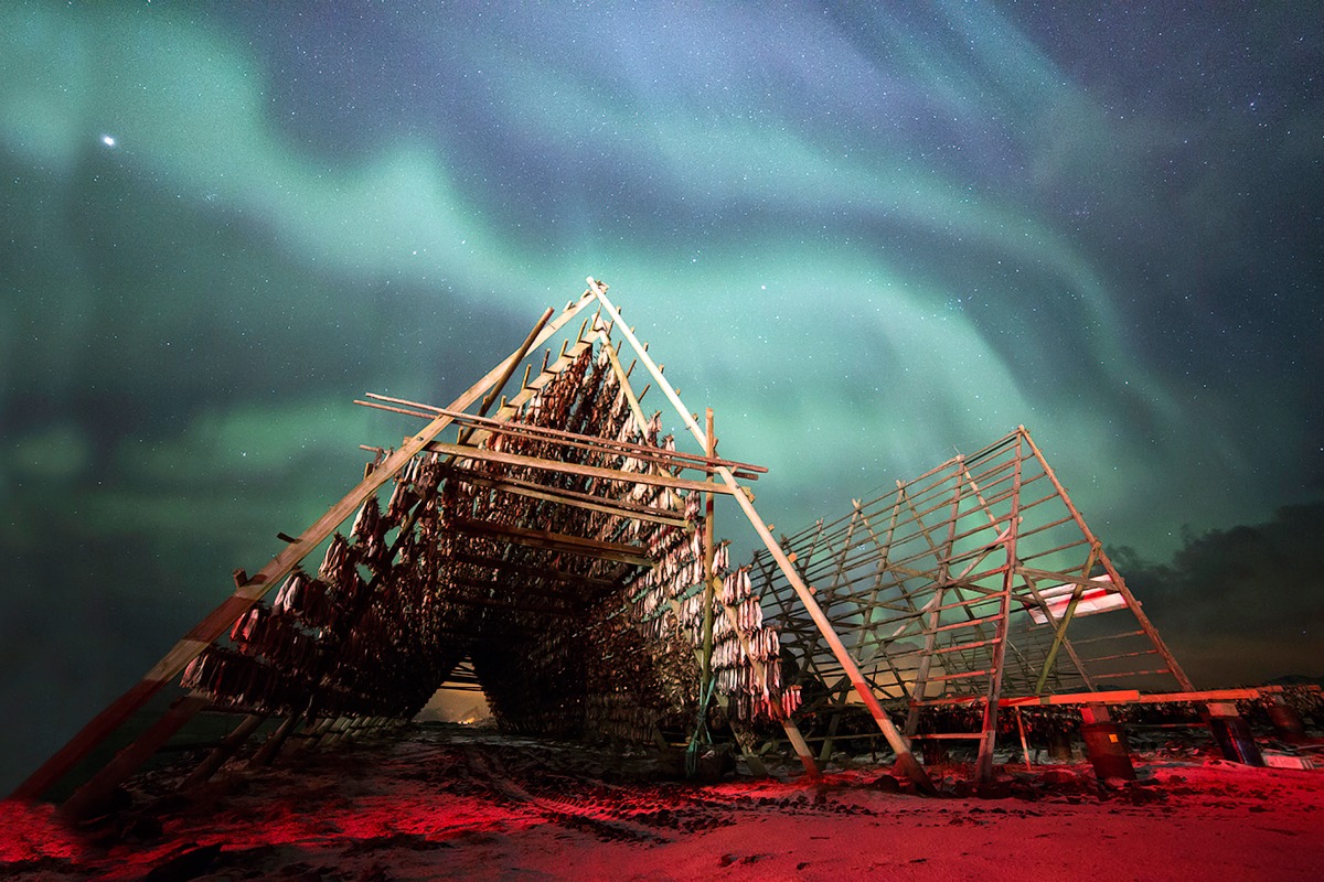 Drying cod with Aurora Borealis