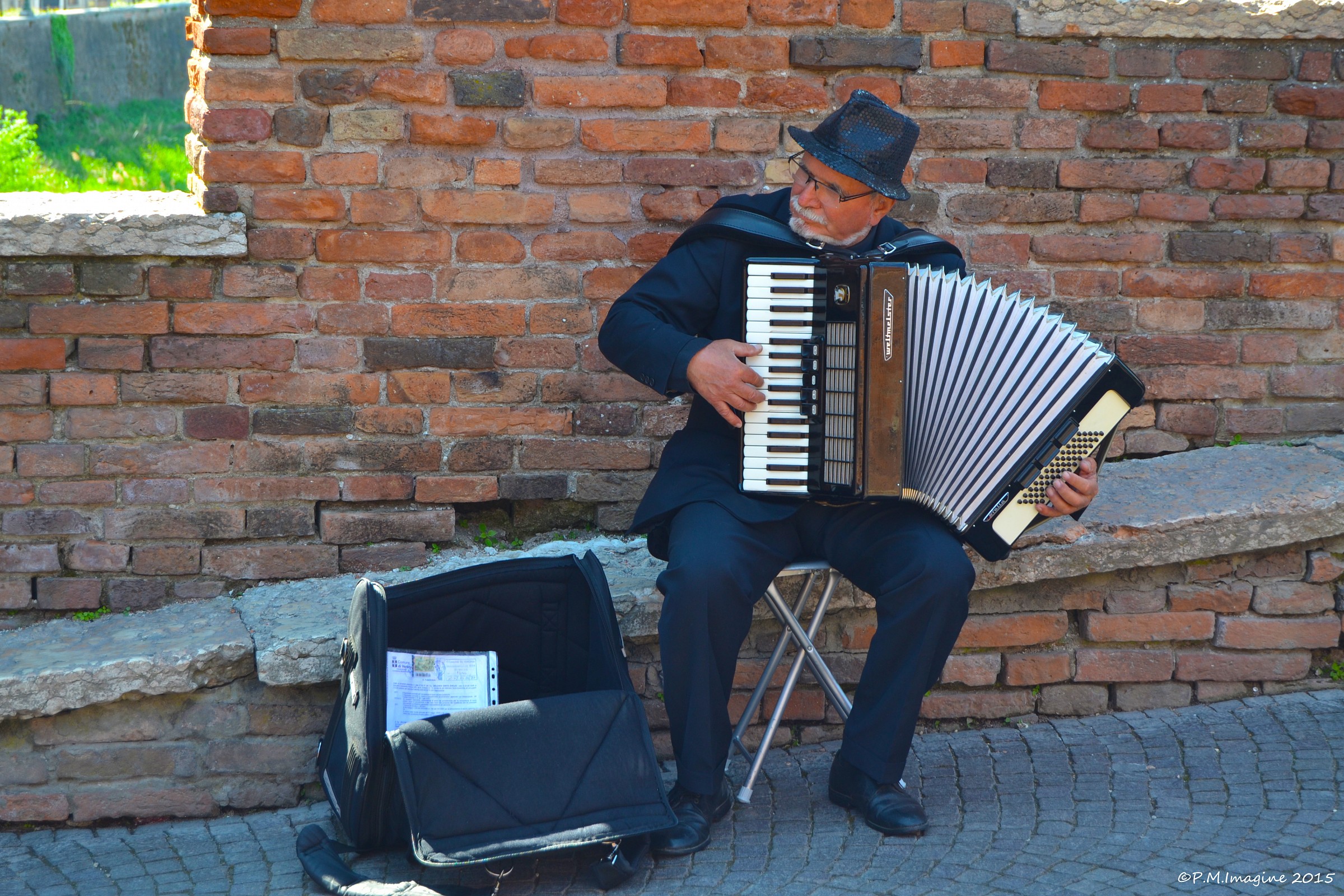 Accordionist