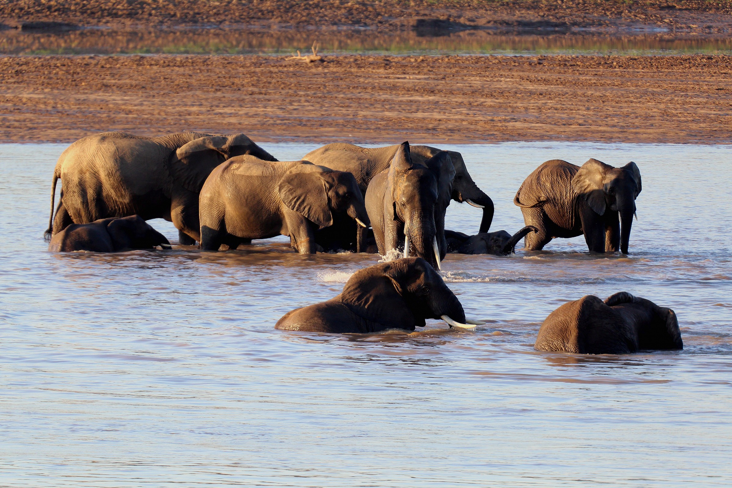 Crossing Luangwa