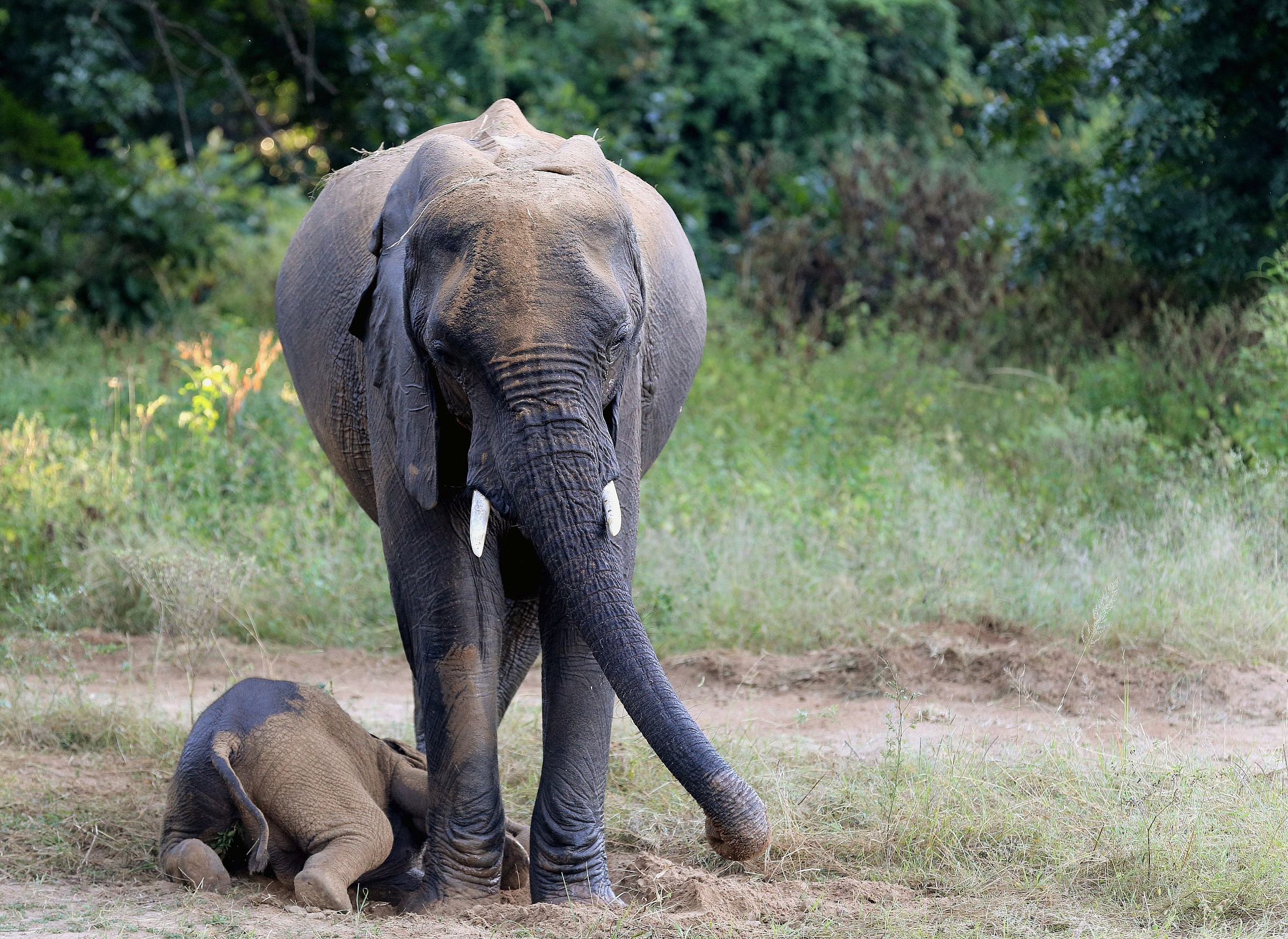 creative problem solving