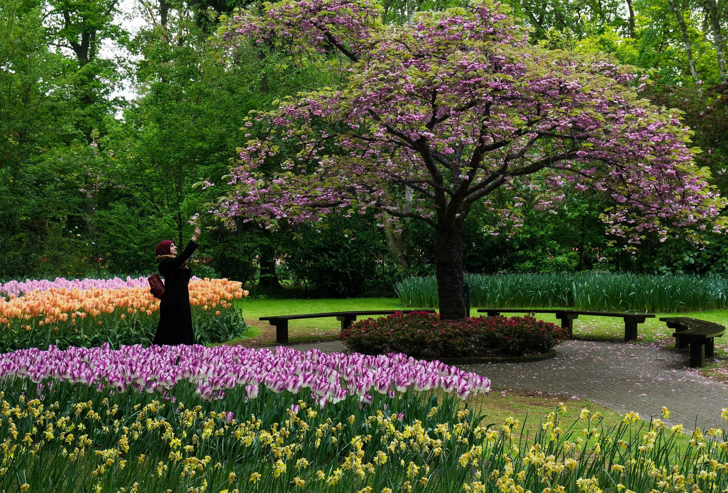 Il giardino incantato