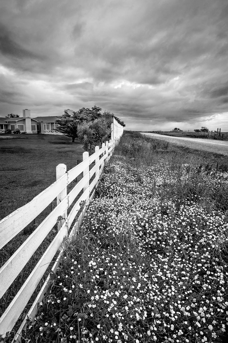 Patagonia: the road to the Pinguinera