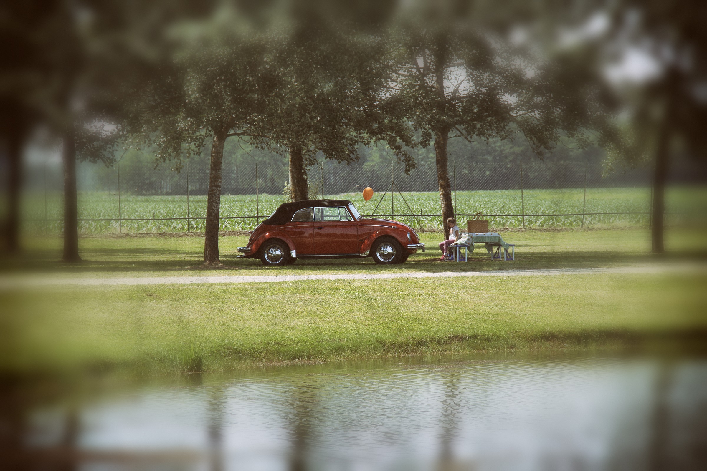 to picnic with the beetle