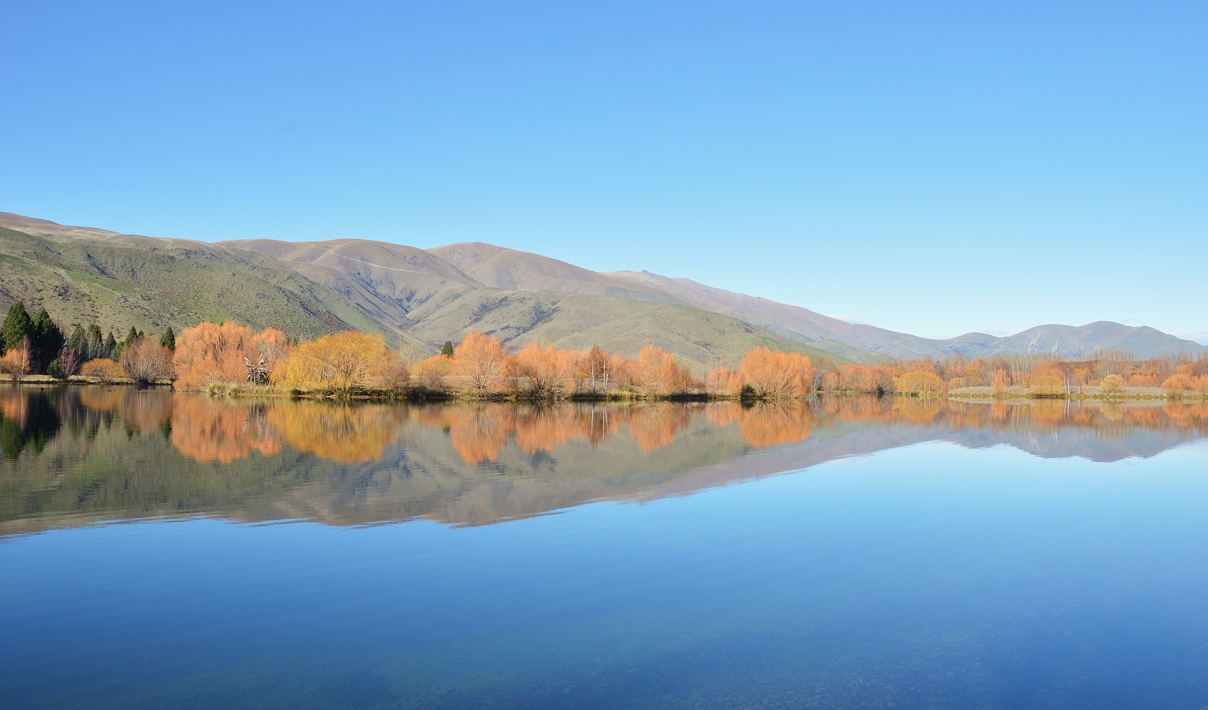 Autumn Reflections (New Zealand)