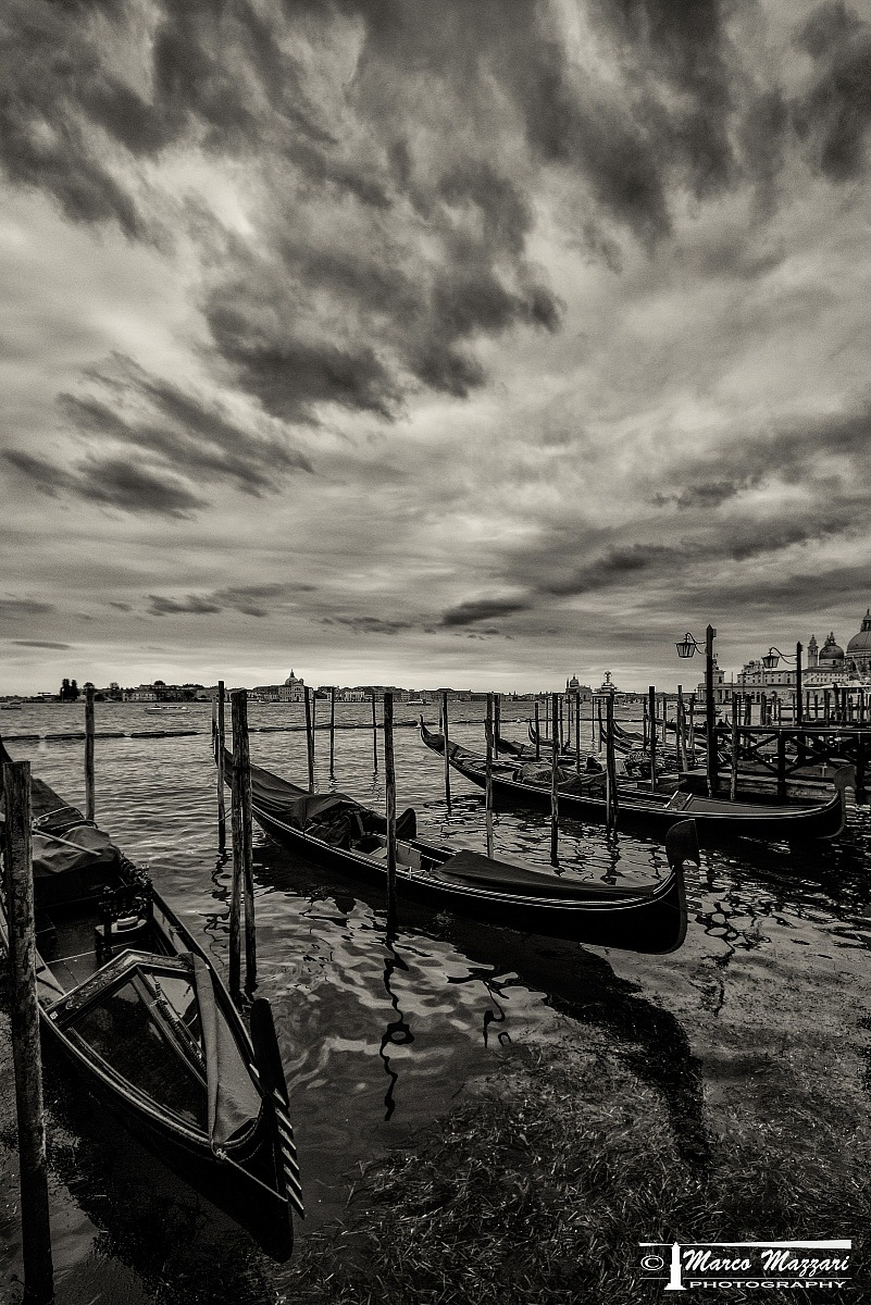 Venezia... Da Piazza san Marco