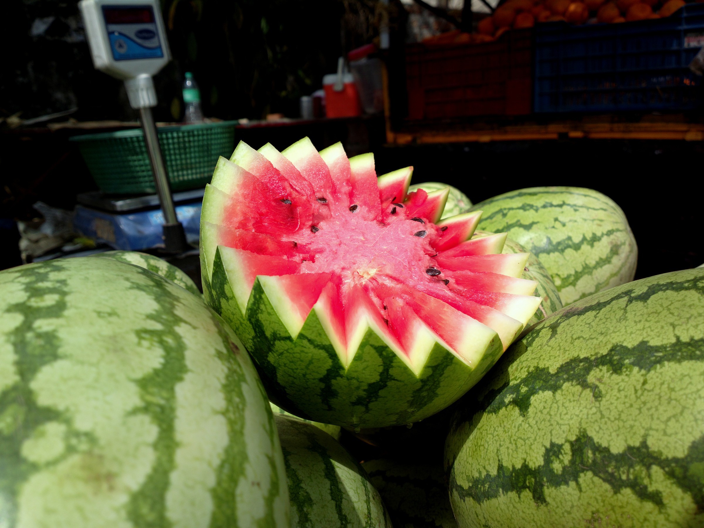 Water melon