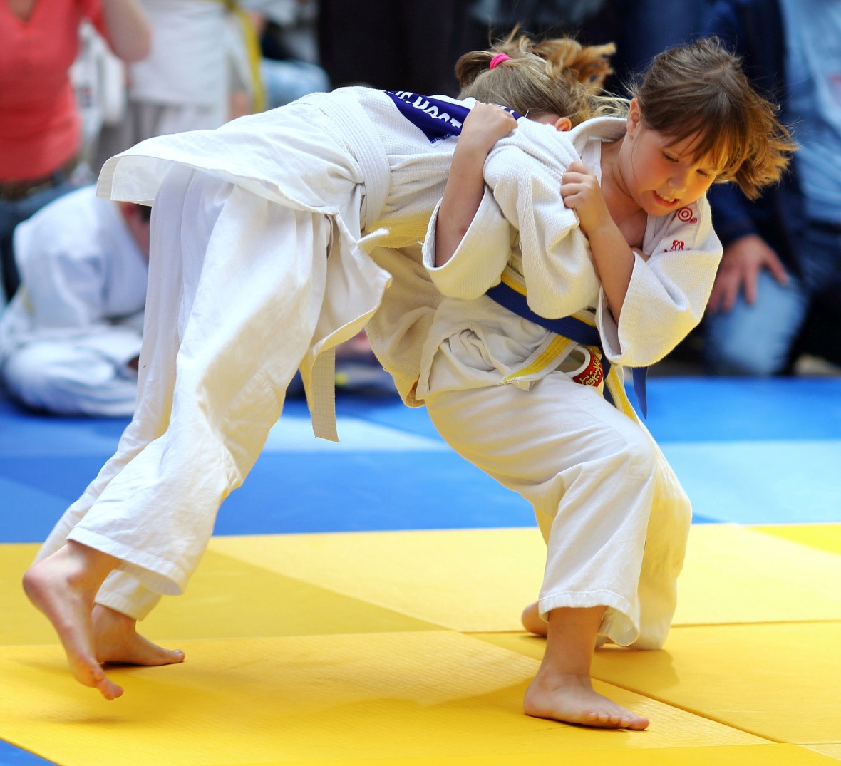 Judo cubs II