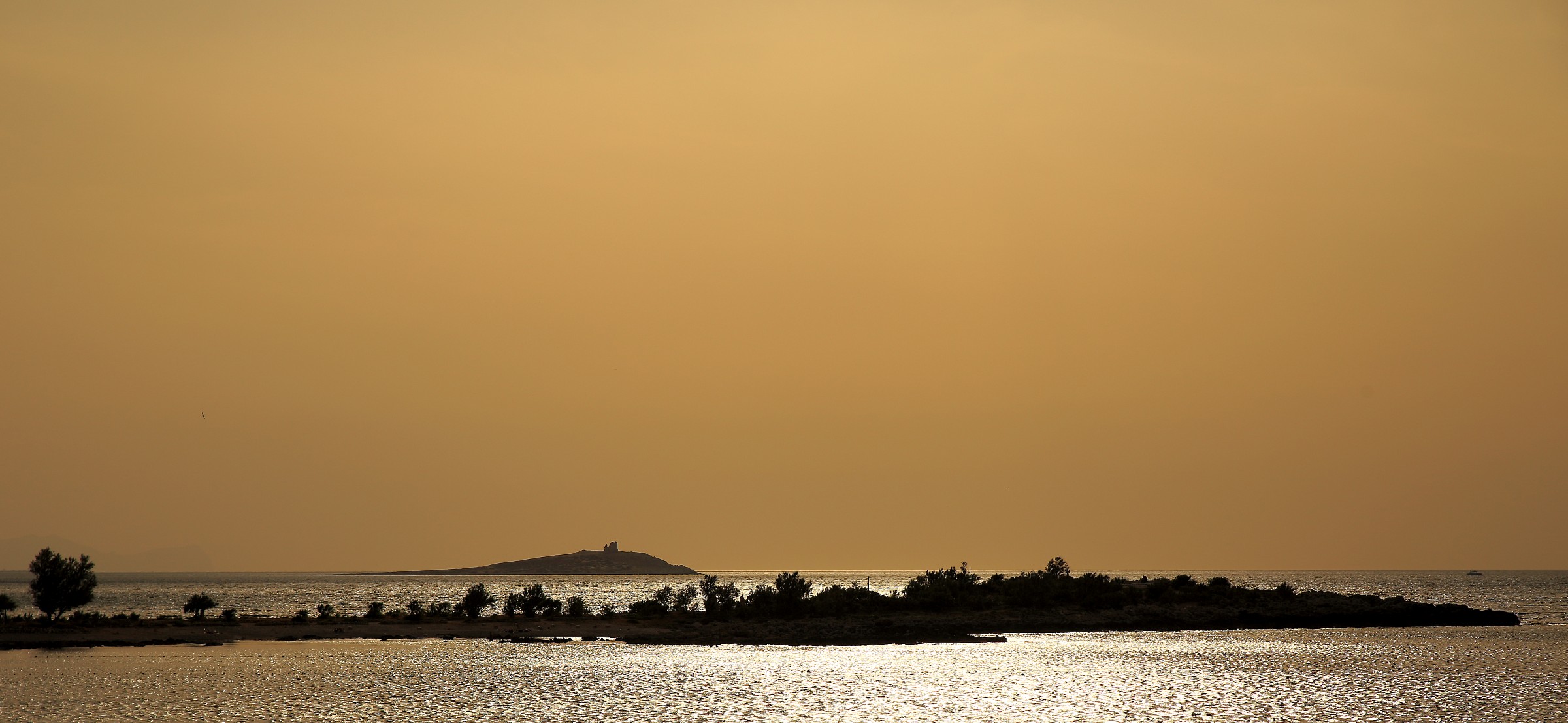 the colors of the Scirocco