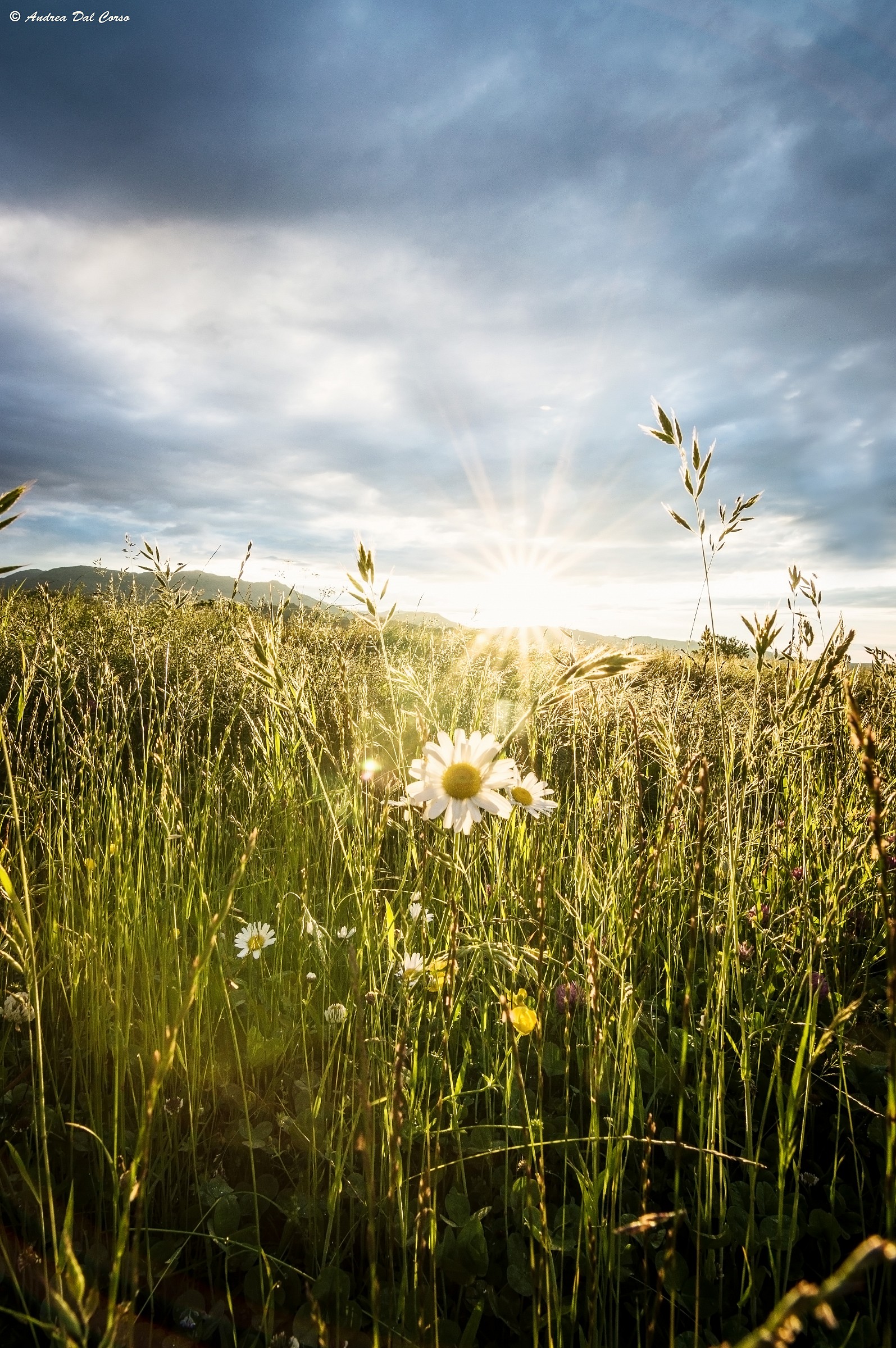 Valle_Velo Veronese_03