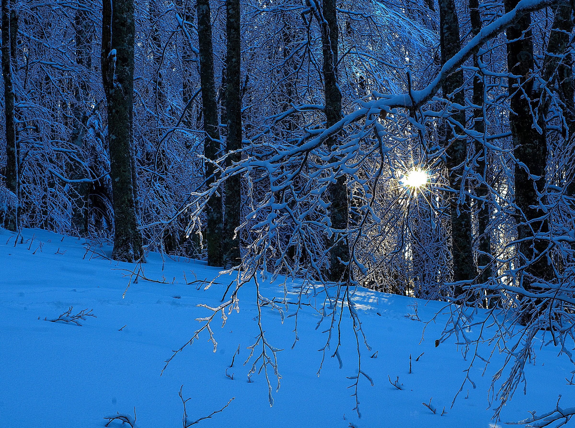 i contrasti della Natura