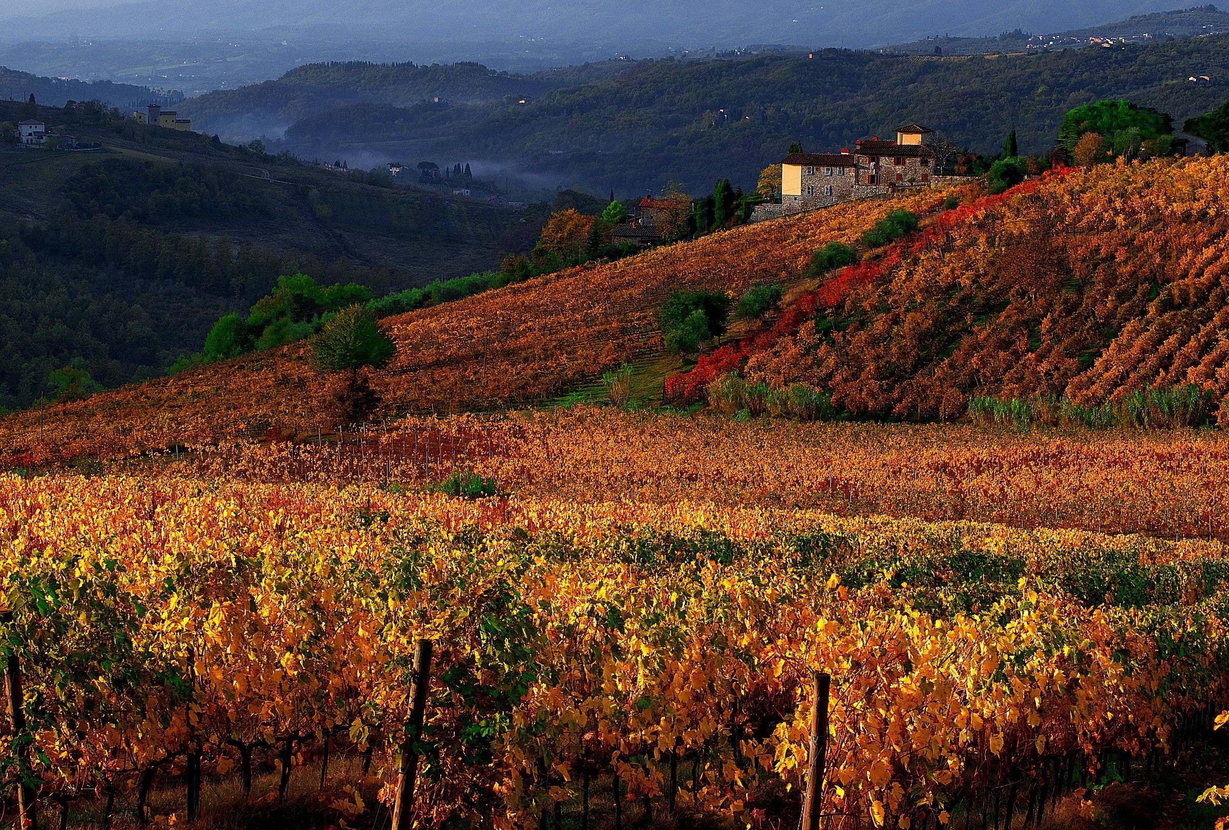 fine autunno, campagna toscana