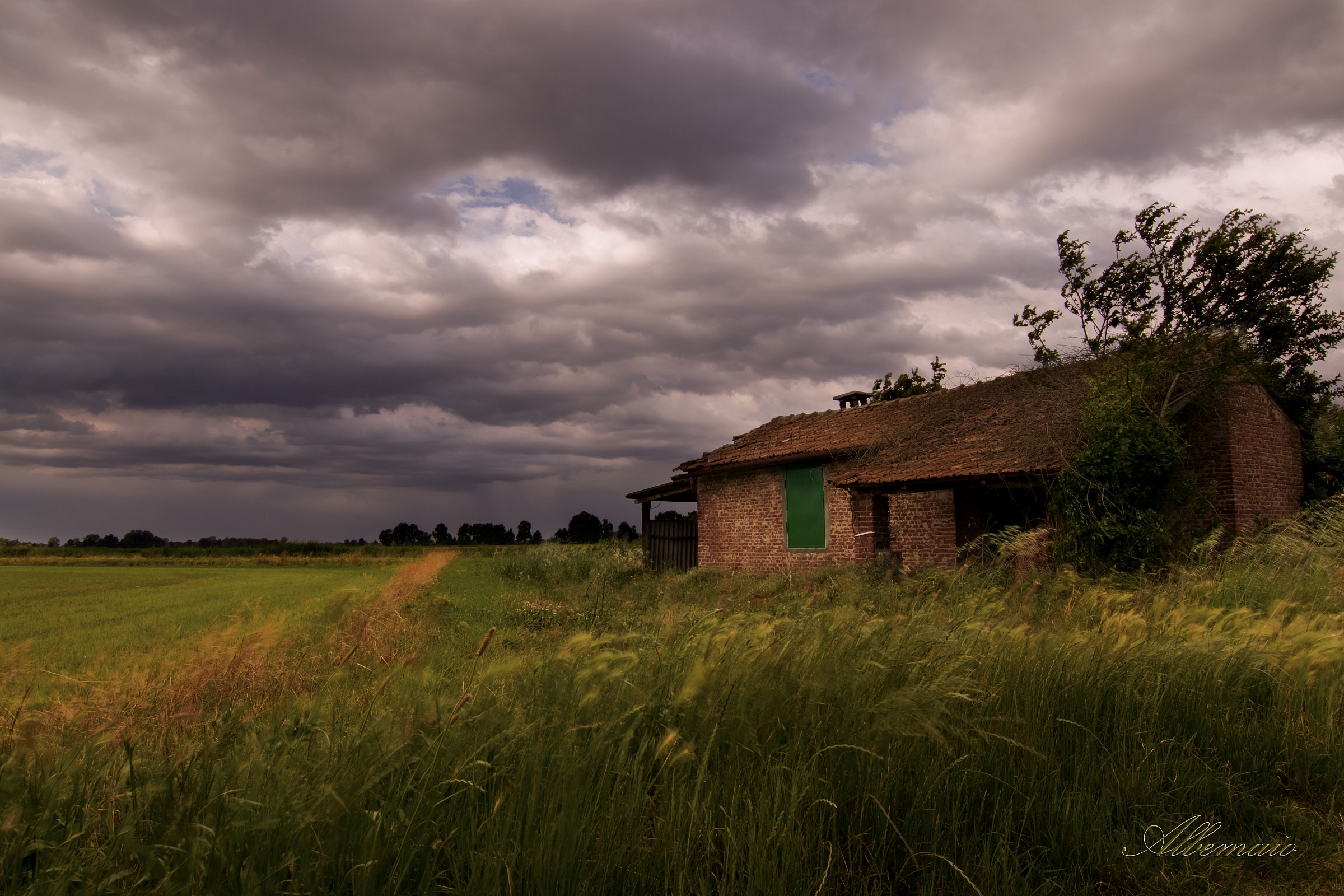 Storm Over Rice
