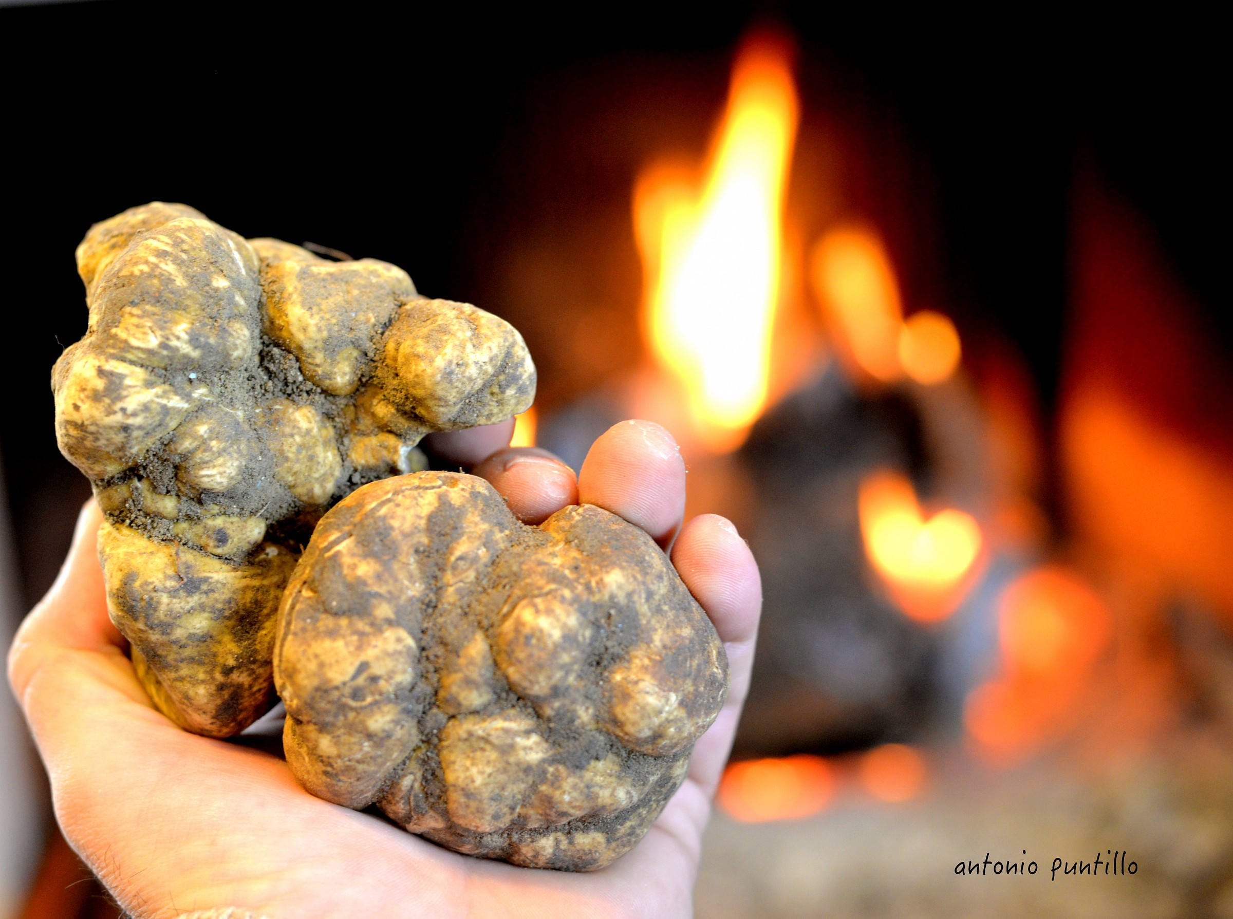 white truffles and fire