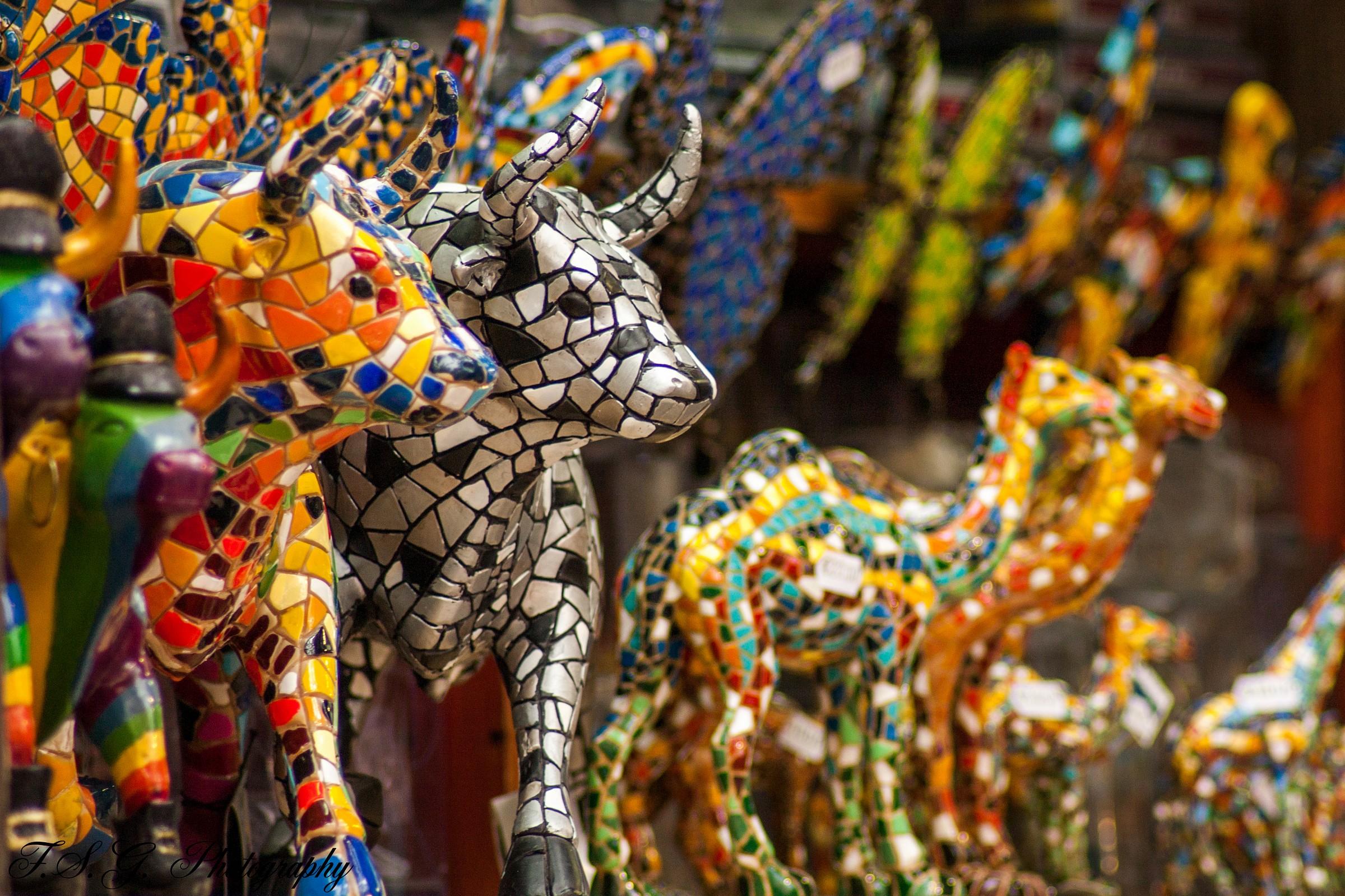 La Solitudine del B/N