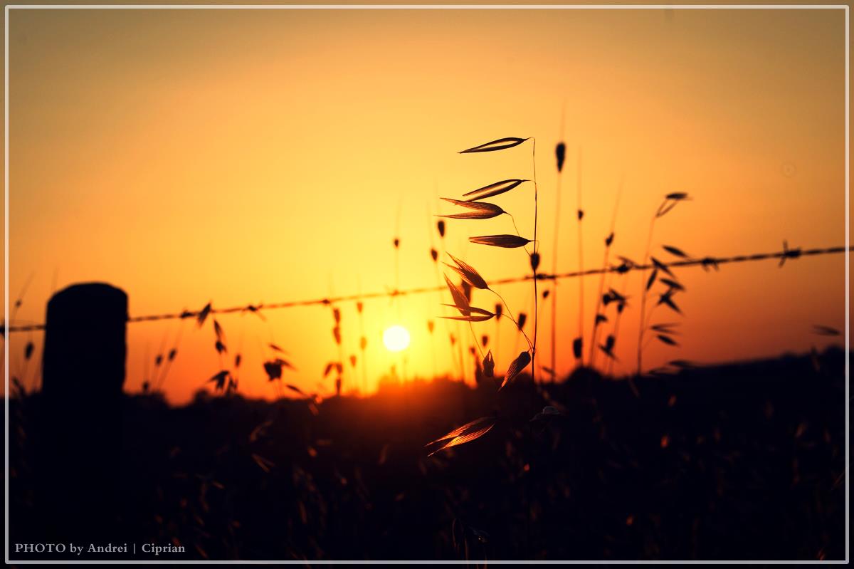 Tramonto a Campoverde,Lazio,Italy