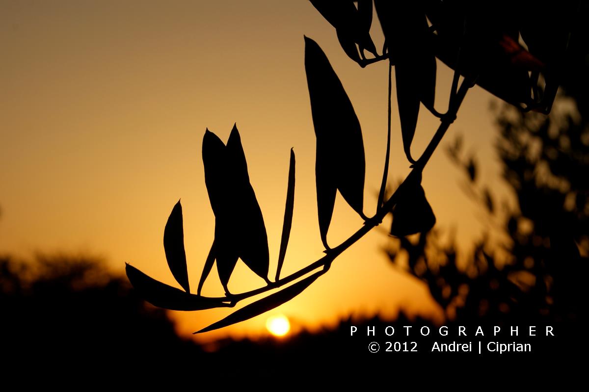 Tramonto a Campoverde,Lazio,Italy