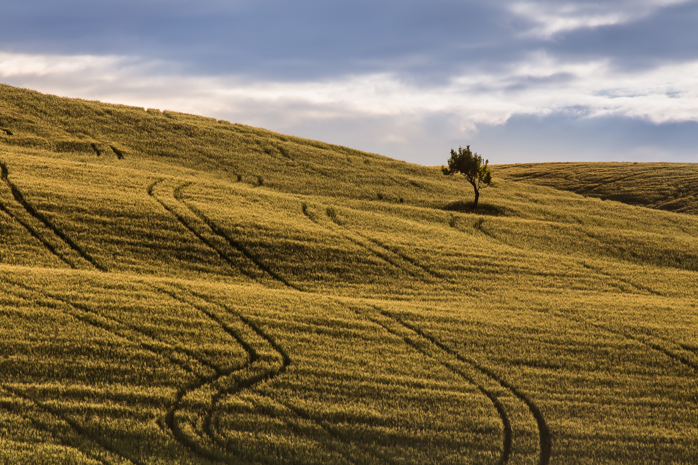 Getting lost in Val d'Orcia