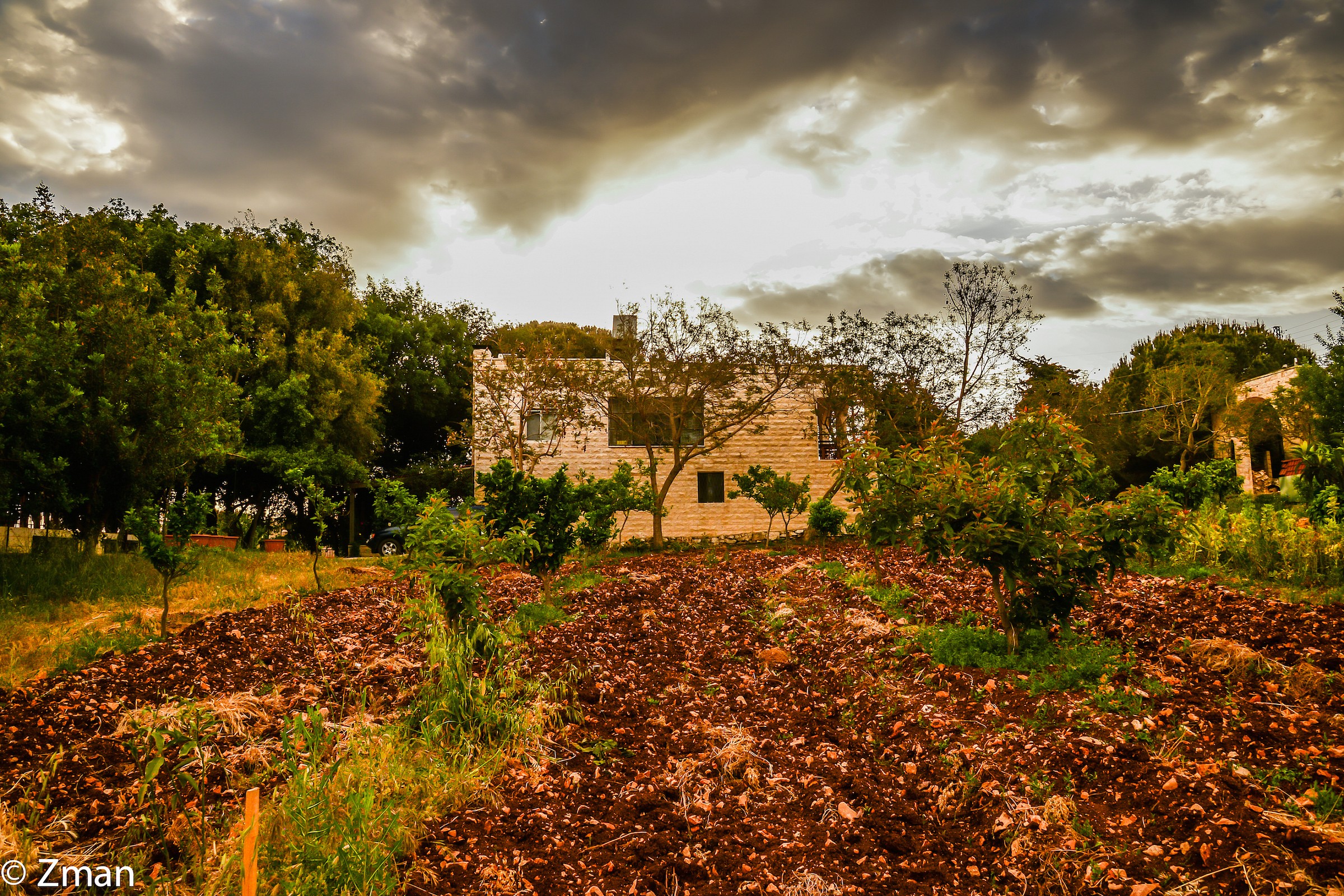 Freshly Ploughed Land
