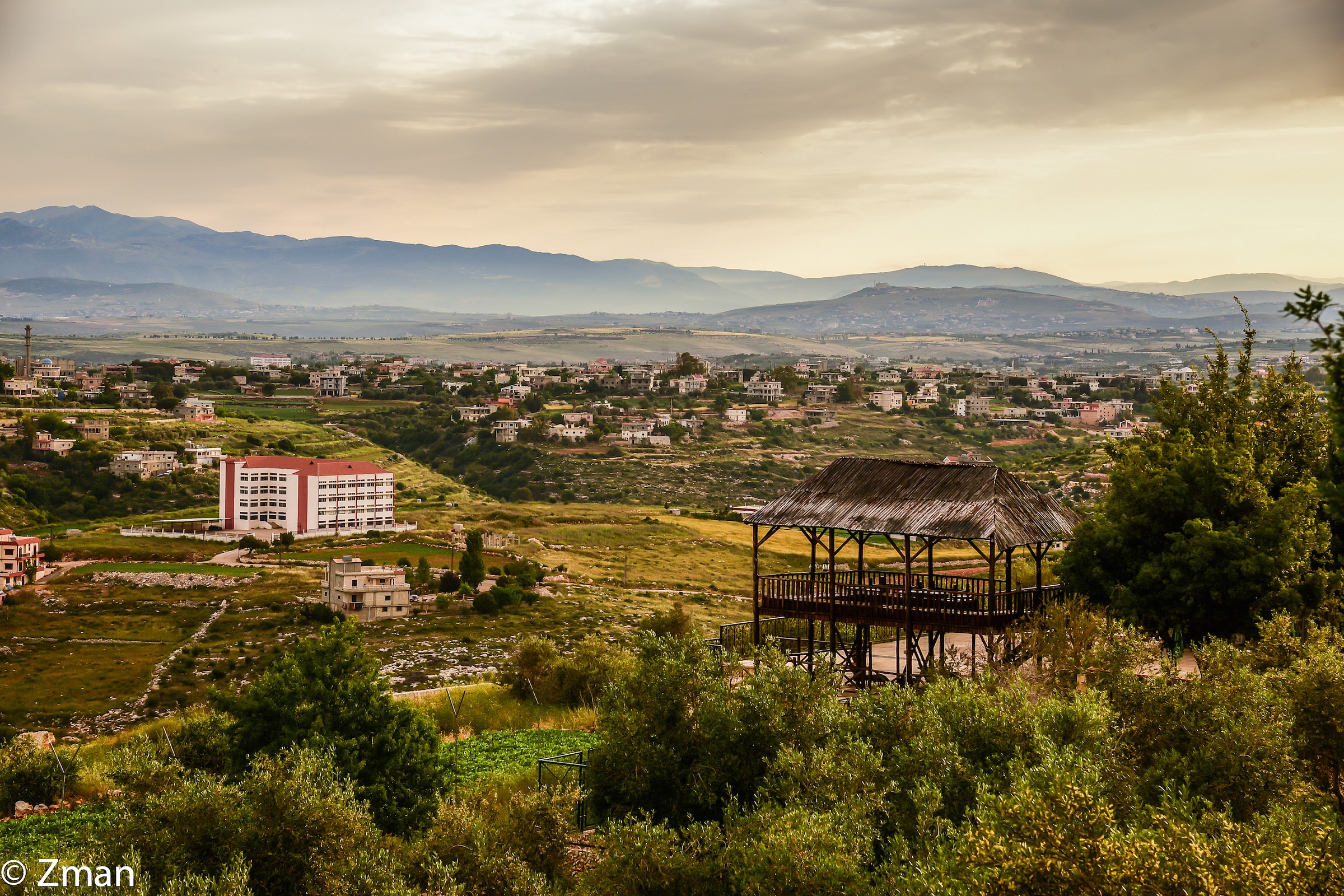 Overlooking The Olive Trees