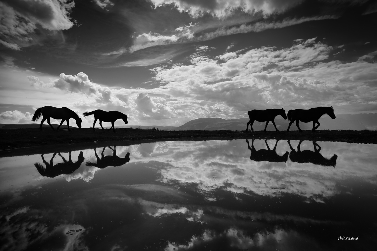 Nella Terra dei cavalli ... di luce