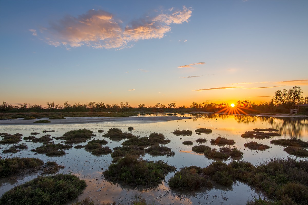 Sunset Camargue