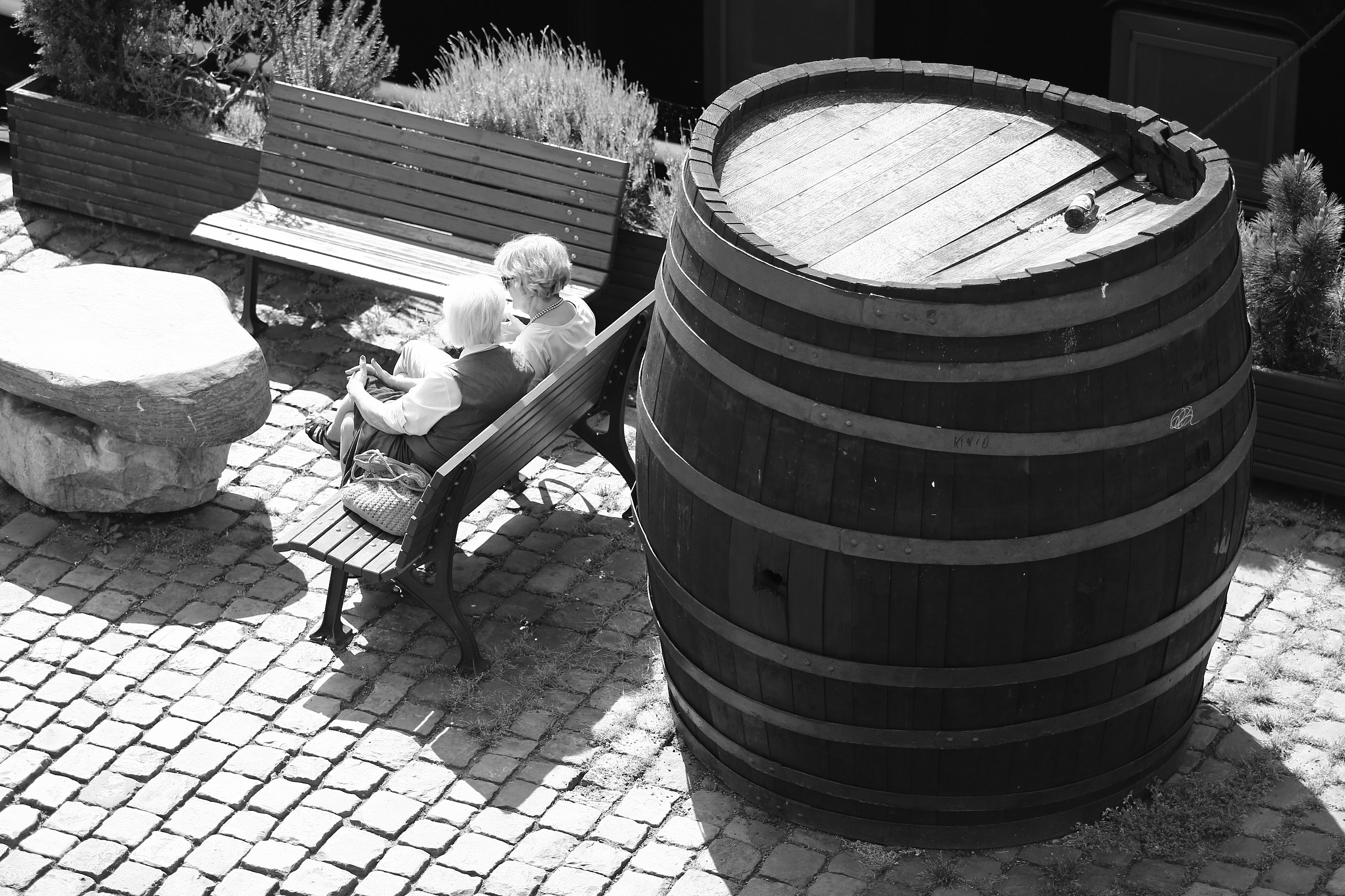 Four chat aroma of wine