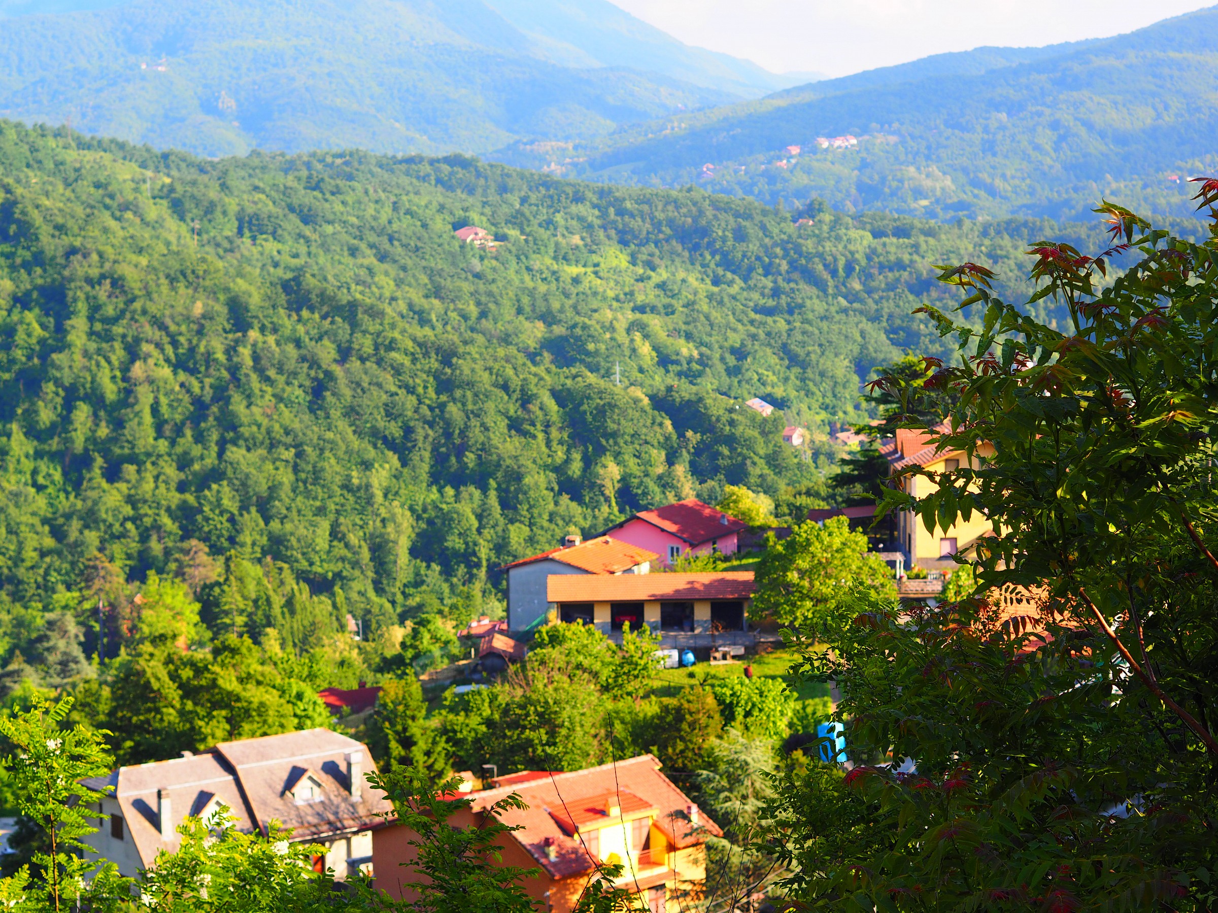 Prova Olympus om-d-m1