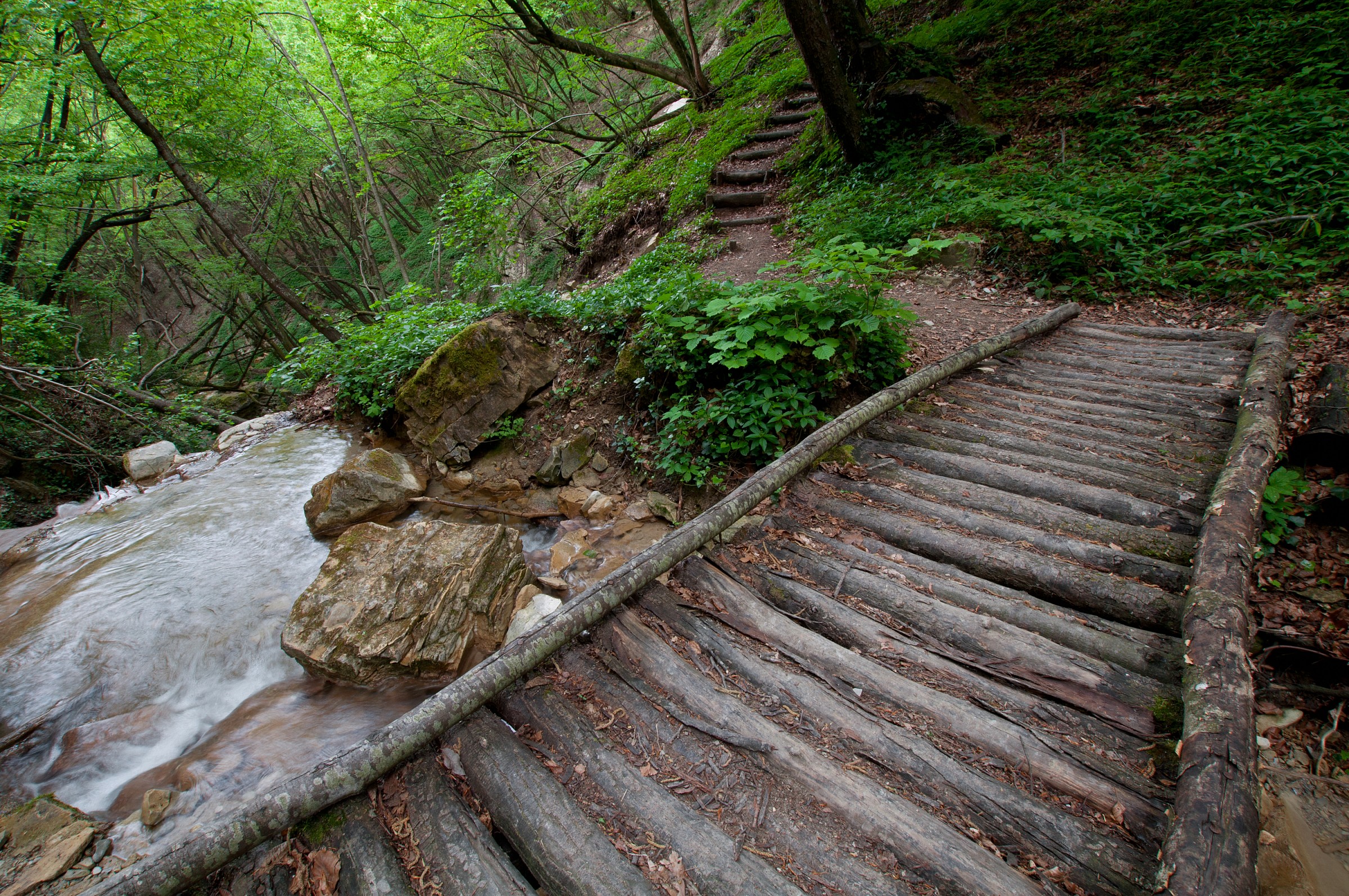 passerella di tronchi